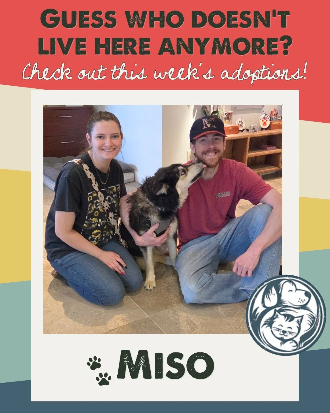These adorable Nuzzles&rsquo; pals packed their go-home bags this week! Now that their kennels are empty, we already have animals waiting to fill them back up again.

More puppies, kittens, and rescue pets will soon be arriving from foster care and p