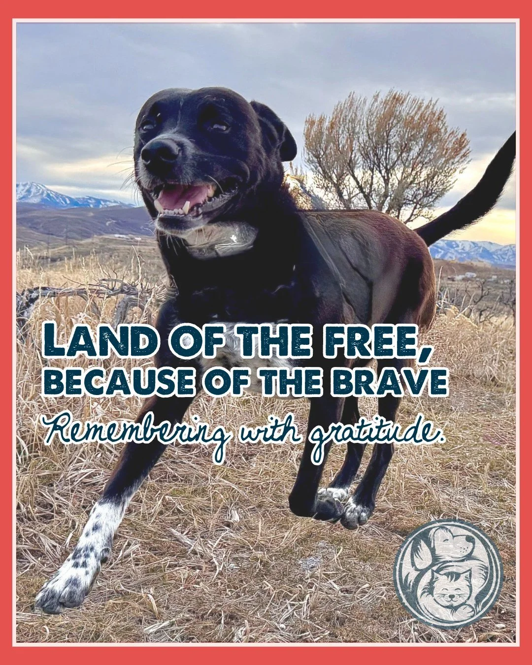 Today we honor and remember the heroes who made the ultimate sacrifice for our country. Because of their sacrifice, we&rsquo;re able to continue doing work we believe deeply in, helping rescue and care for homeless animals here in Utah.

From all of 