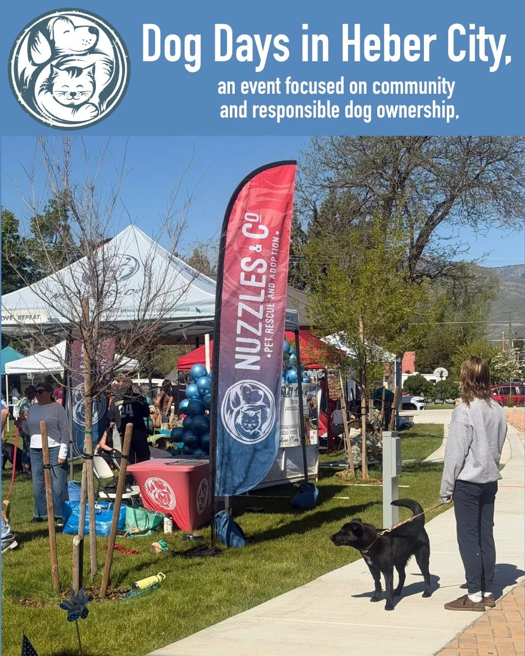 We loved being part of an event focused on community, responsible dog ownership, and the future of more dog-friendly spaces in Heber. 

Dogs Day in the Park brought together local dog lovers, community partners, and plenty of happy pups for a morning