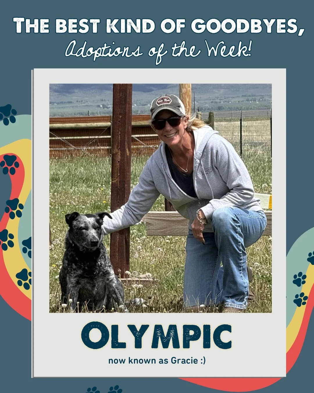 The best kind of goodbye. 

This week's adopters gained new family members, and some very deserving dogs and cats gained exactly what they've been waiting for: a place to call home.

As you celebrate this week's adoptions, we have one quick favor to 