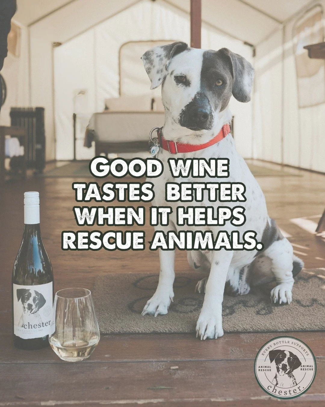 What if your next bottle of wine helped rescue animals? 🍷🐾

Chester Wines was created in honor of a winery rescue dog named Chester, making this partnership with Nuzzles &amp; Co. feel especially meaningful to us. A portion of all Utah Chester Wine