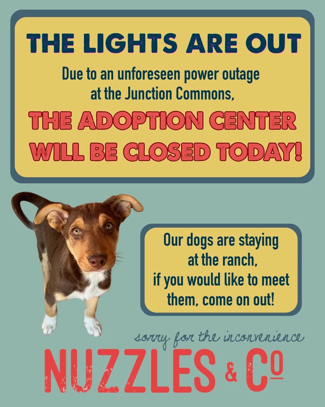 ⚠️ Due to an unforeseen power outage at Junction Commons, our Adoption Center will be closed today.

For our cat volunteers, you're still welcome to come socialize with the kitties as scheduled.

Dog walkers who were planning to walk at the Adoption 