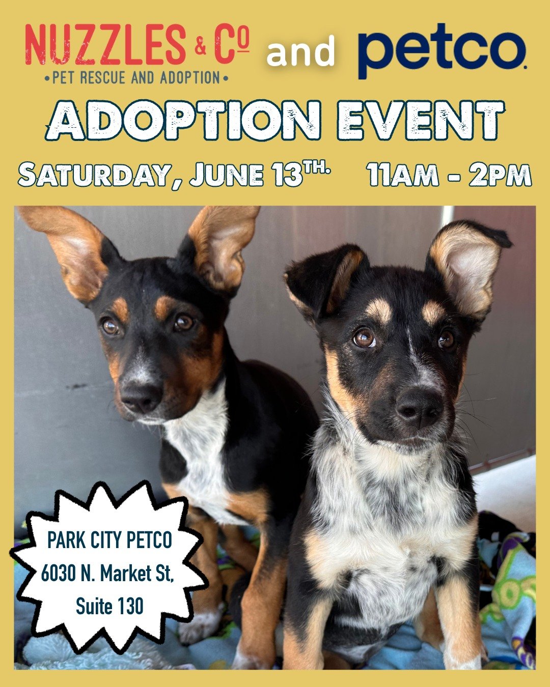 🐾 Looking for weekend plans?

We know a few puppies who would love to meet you.

Join Nuzzles &amp; Co and Petco this Saturday from 11 AM&ndash;2 PM at the Park City Petco for an adoption event featuring some of our adoptable dogs and puppies. Kitte