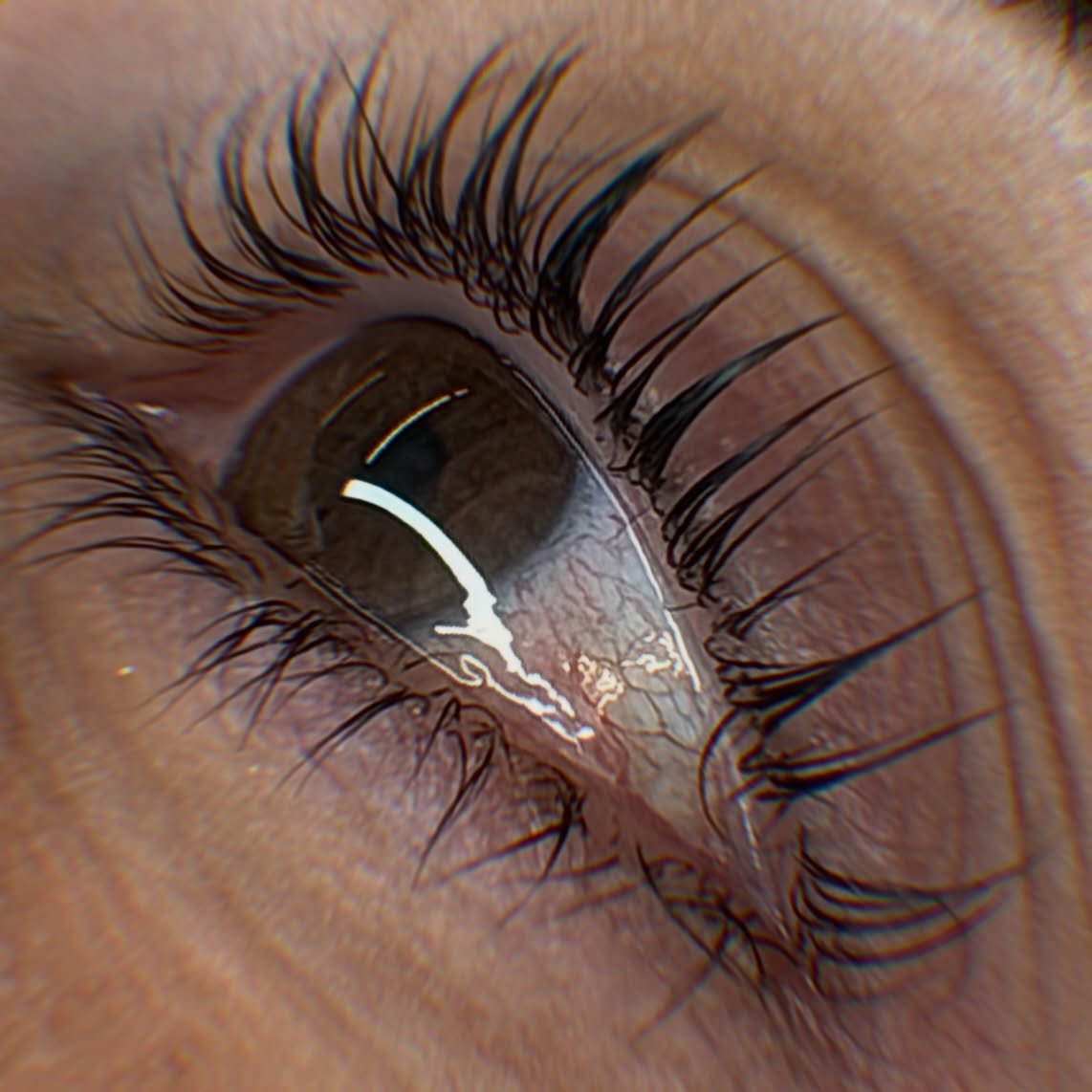 Korean lash lifts take the number one spot #lashlifts 

Artist @browsbyleo