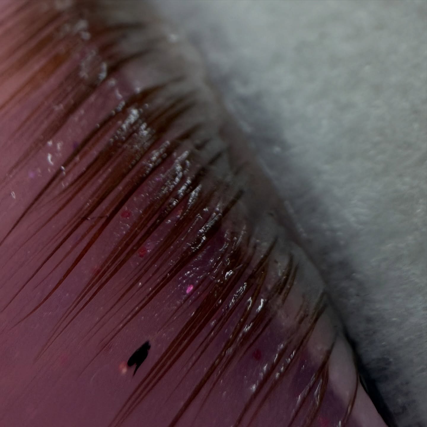 If you love waking up looking put-together&hellip; you need a Korean Lash Lift. It lifts, separates, and defines every lash for that clean, doll-eye look. 🤍