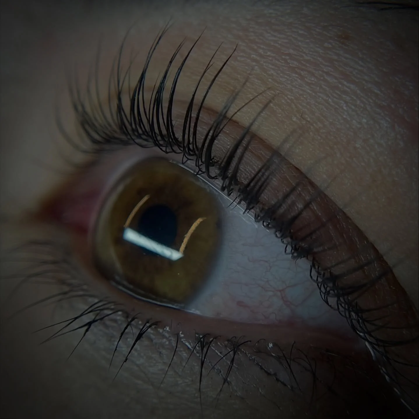 Korean #lashlift ✨ We're obsessed! And to add to that our studio will be closed 12/24th -12/29th We will return on the 30th normal business hours. Please email us or use our booking system to book all your appointments 🎅

Artist @browsbyleo