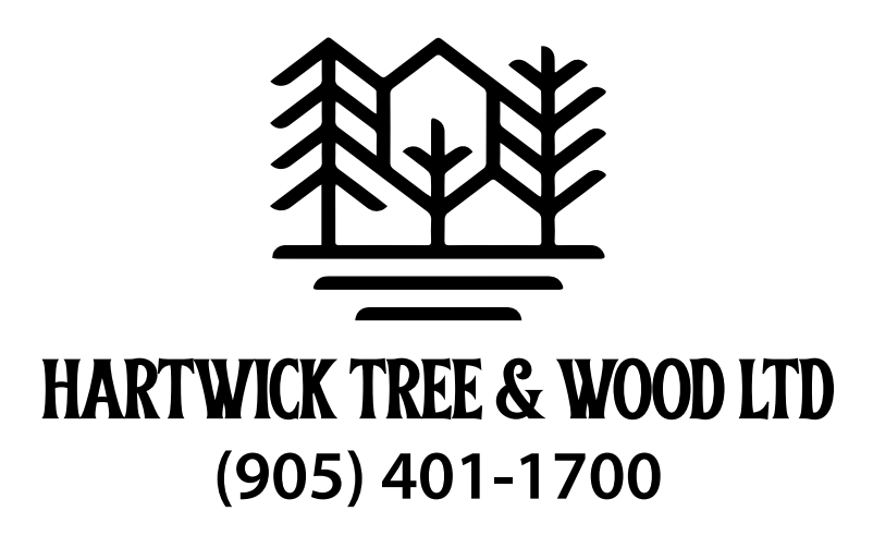 Hartwick Tree and Wood