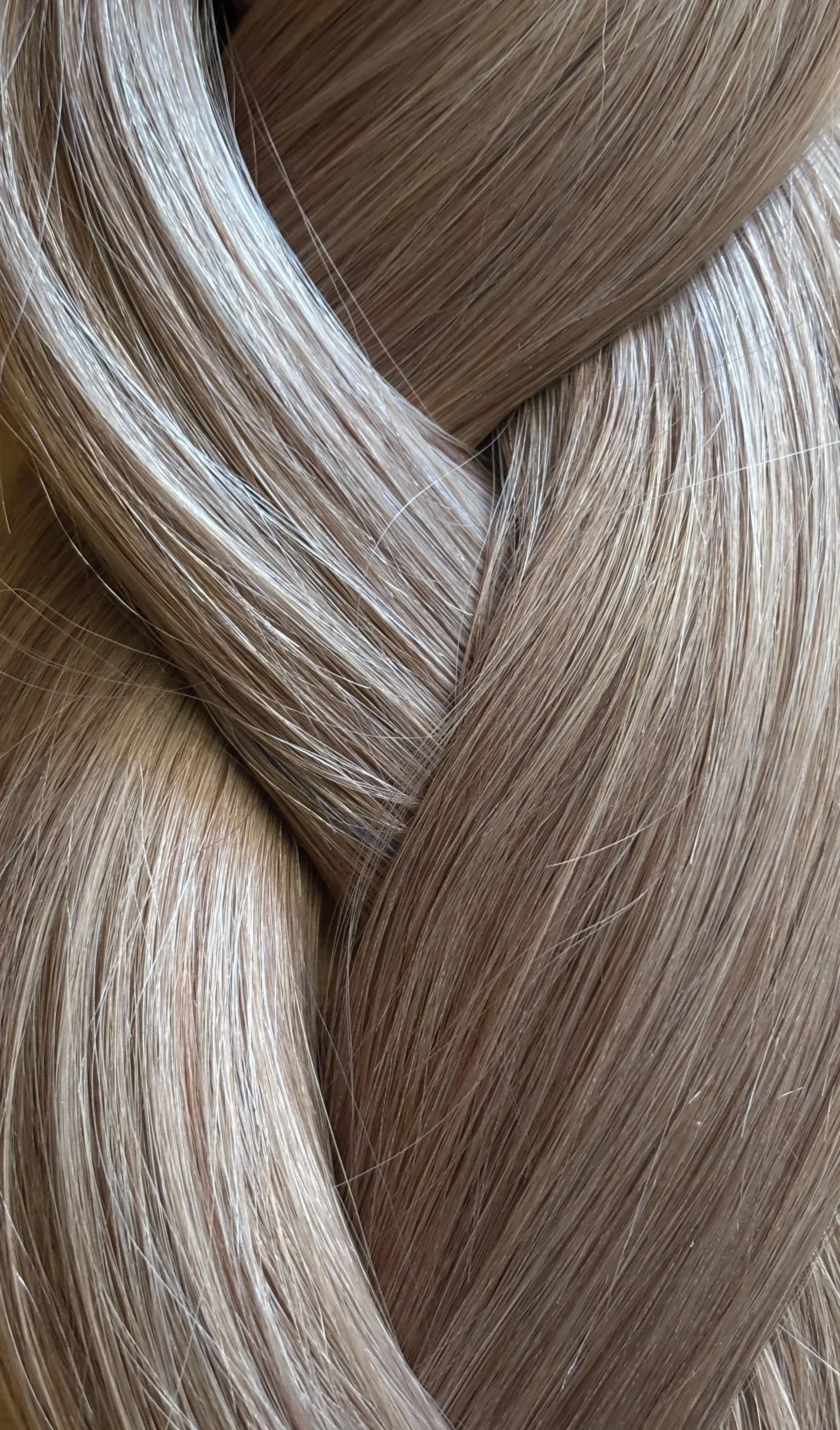 IMG_8392.jpg (Copy) (Copy)