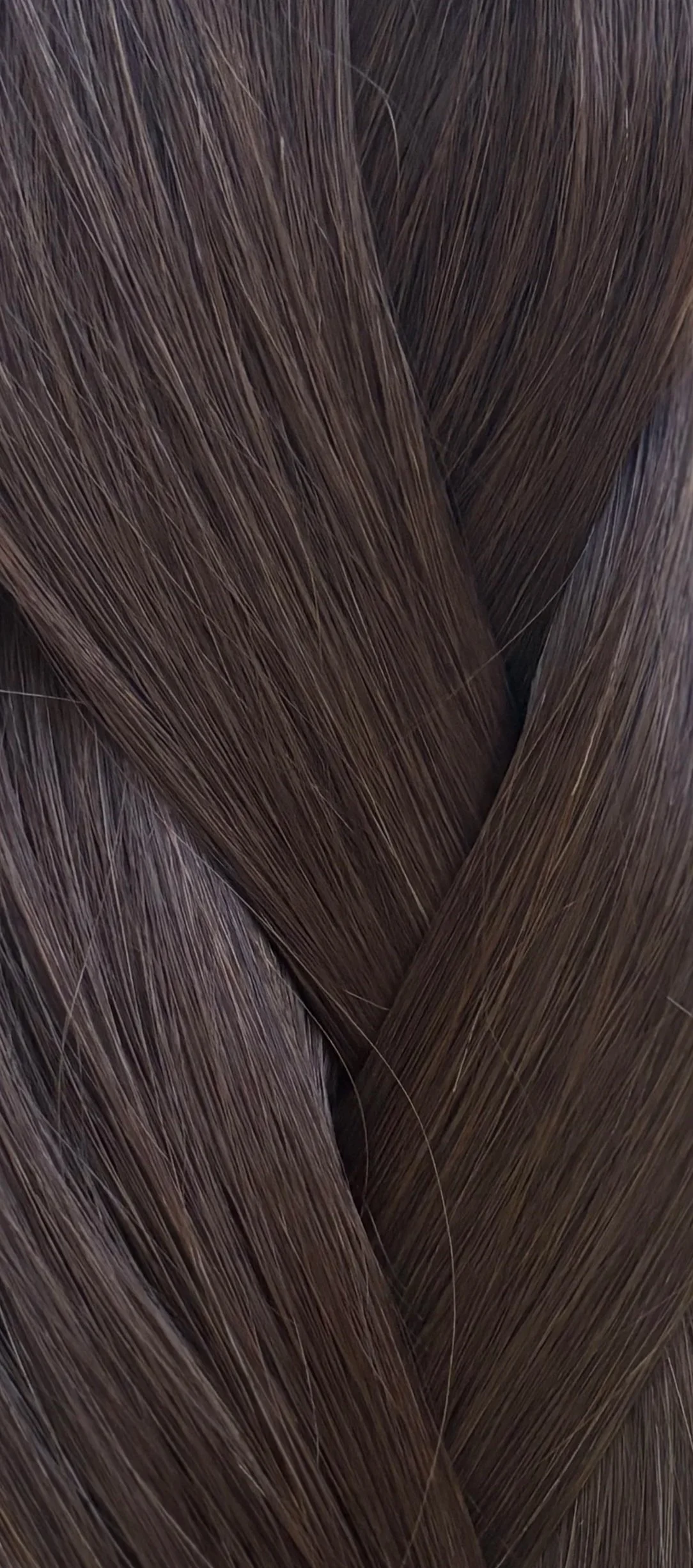 IMG_8375.jpg (Copy) (Copy)