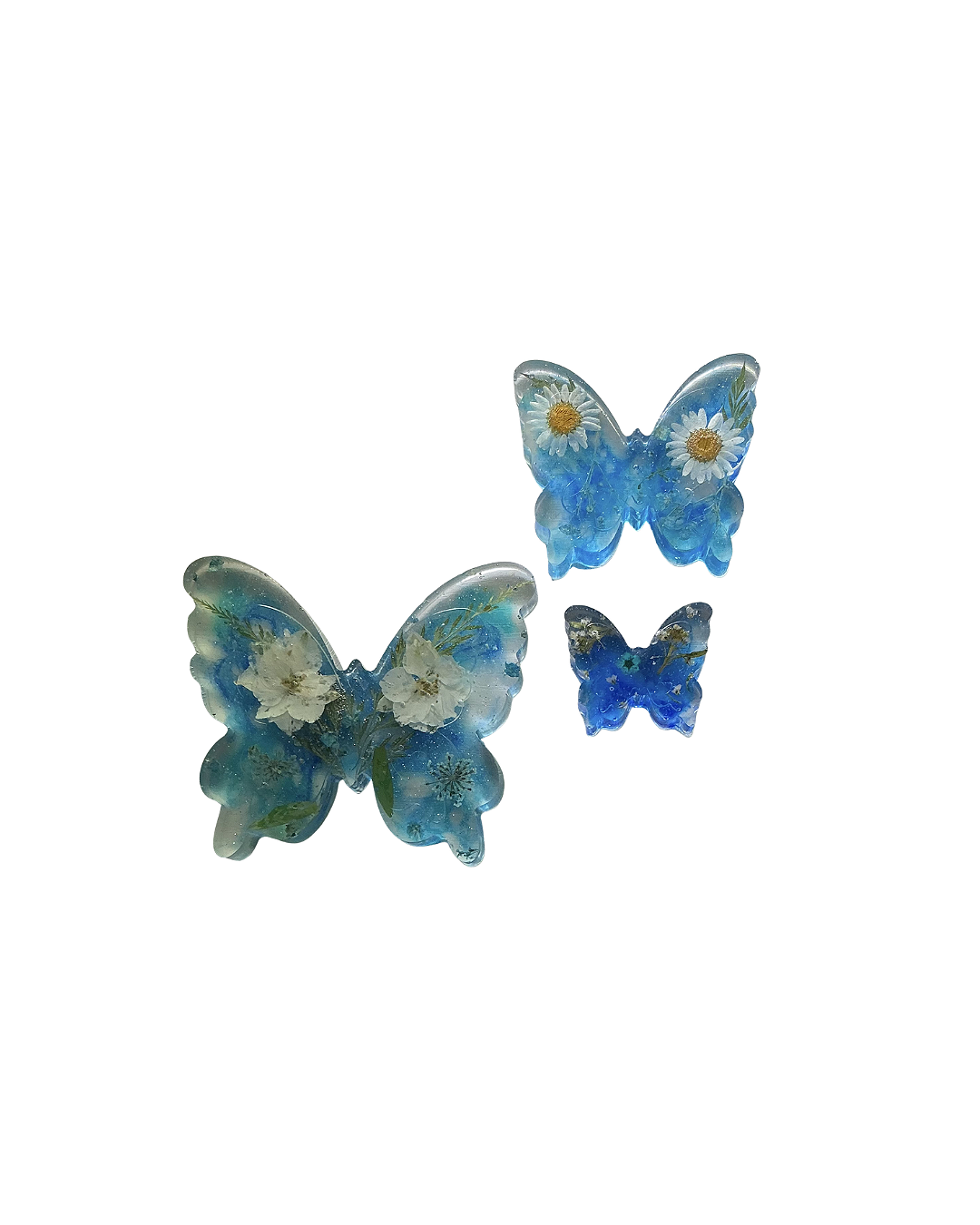 Butterflies.png