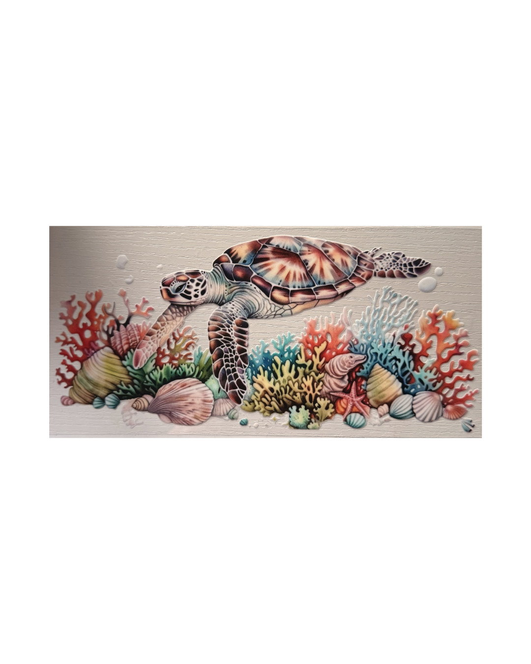 Turtle Decal