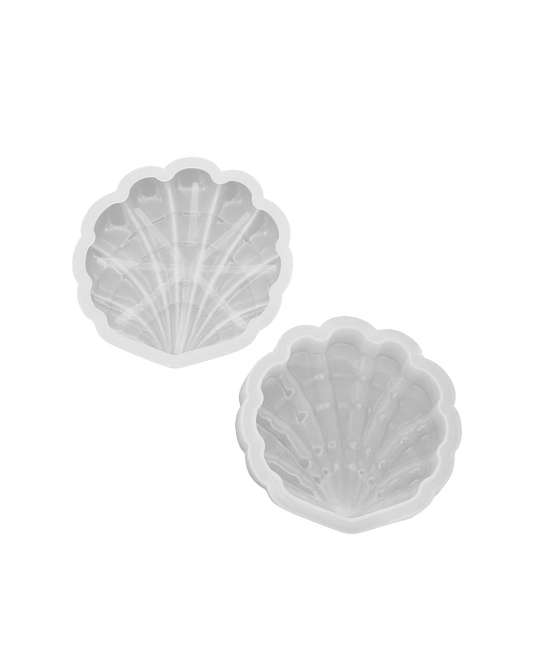 Seashell Box - Resin Custom