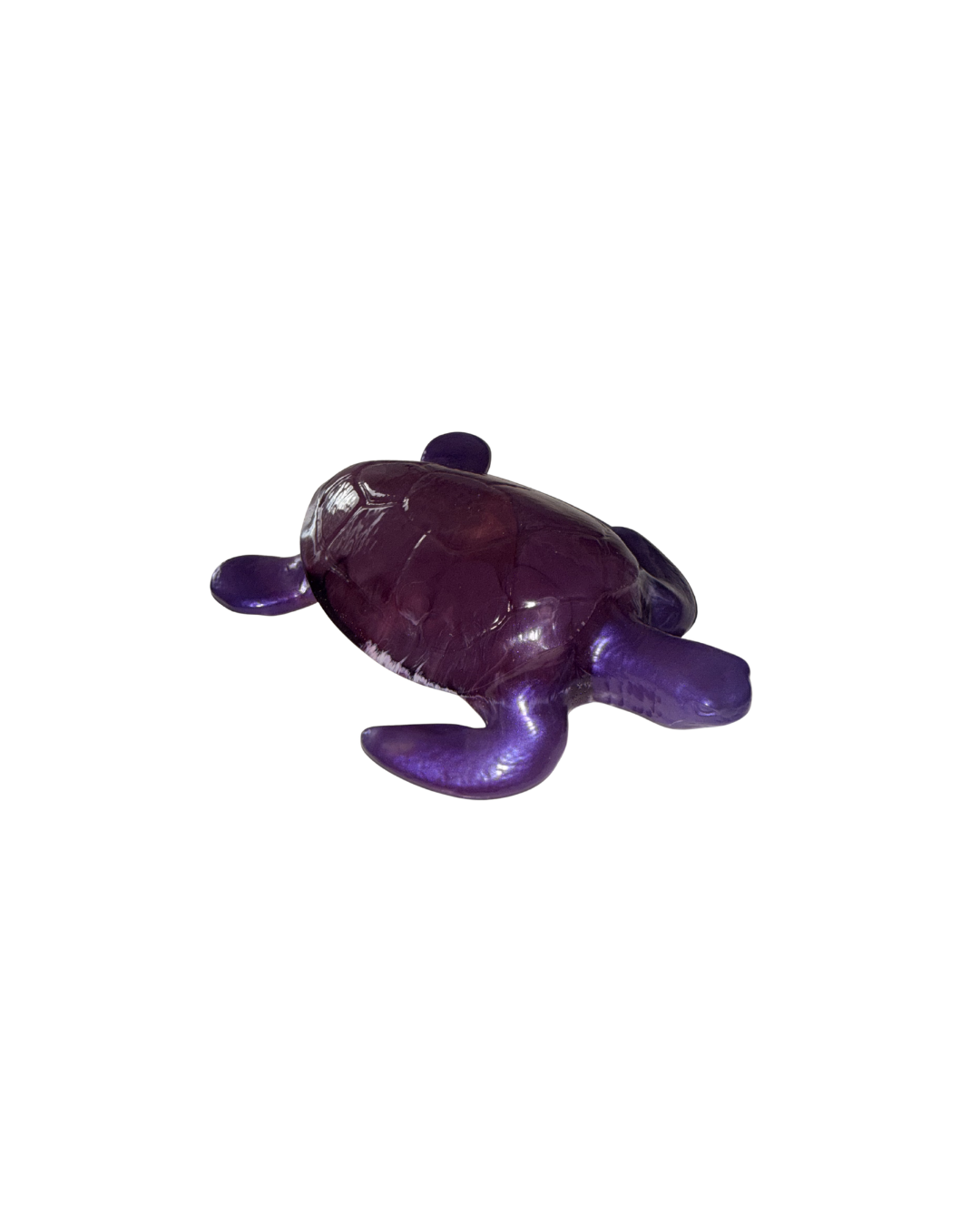 Turtle - Resin Custom