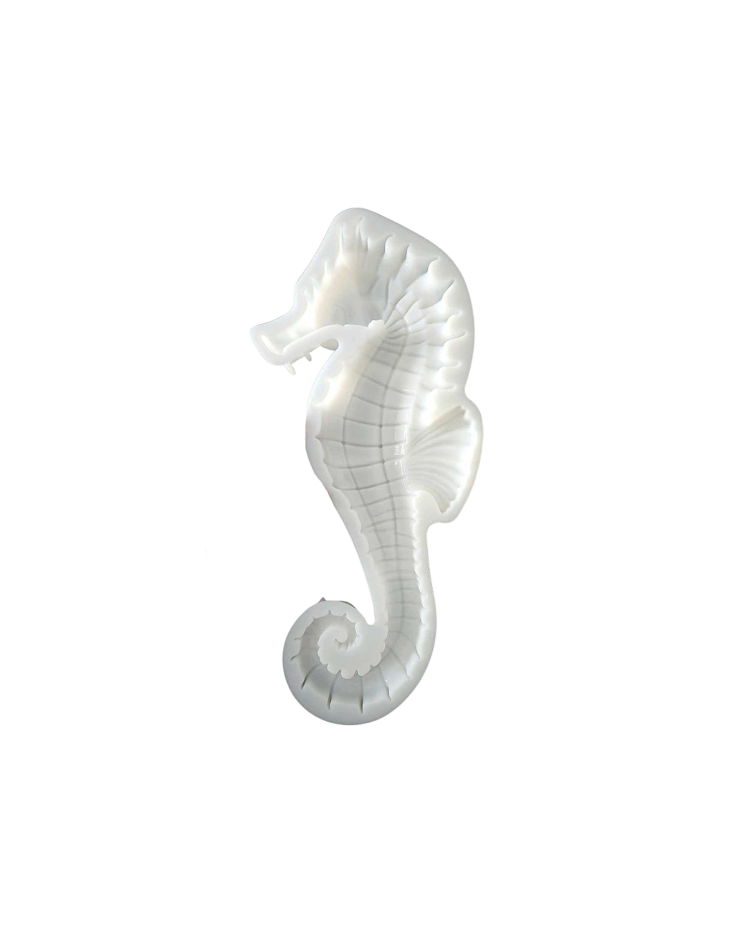 Sea+Horse.png