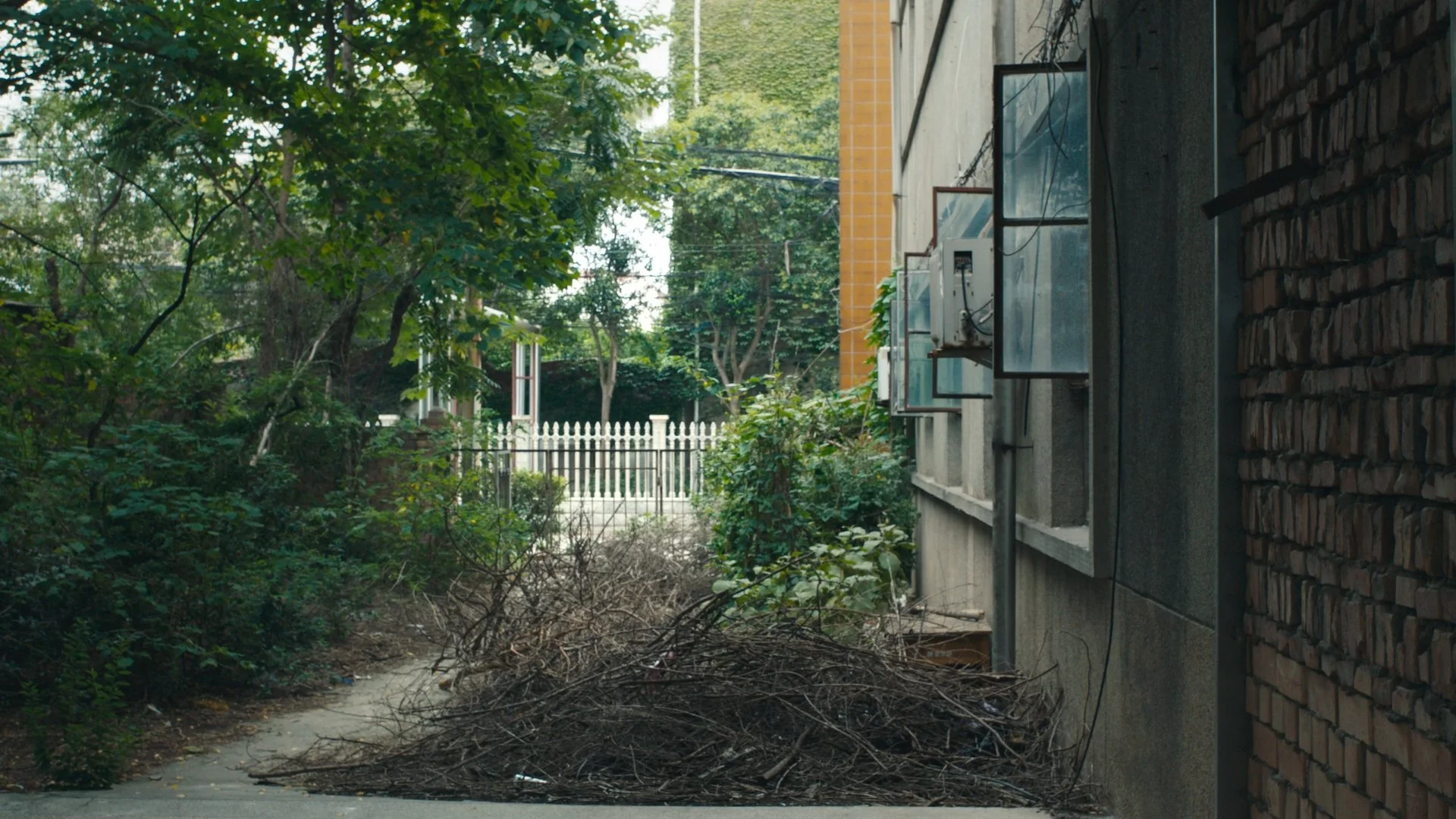 Still 2026-02-11 201822_1.2.2.jpg