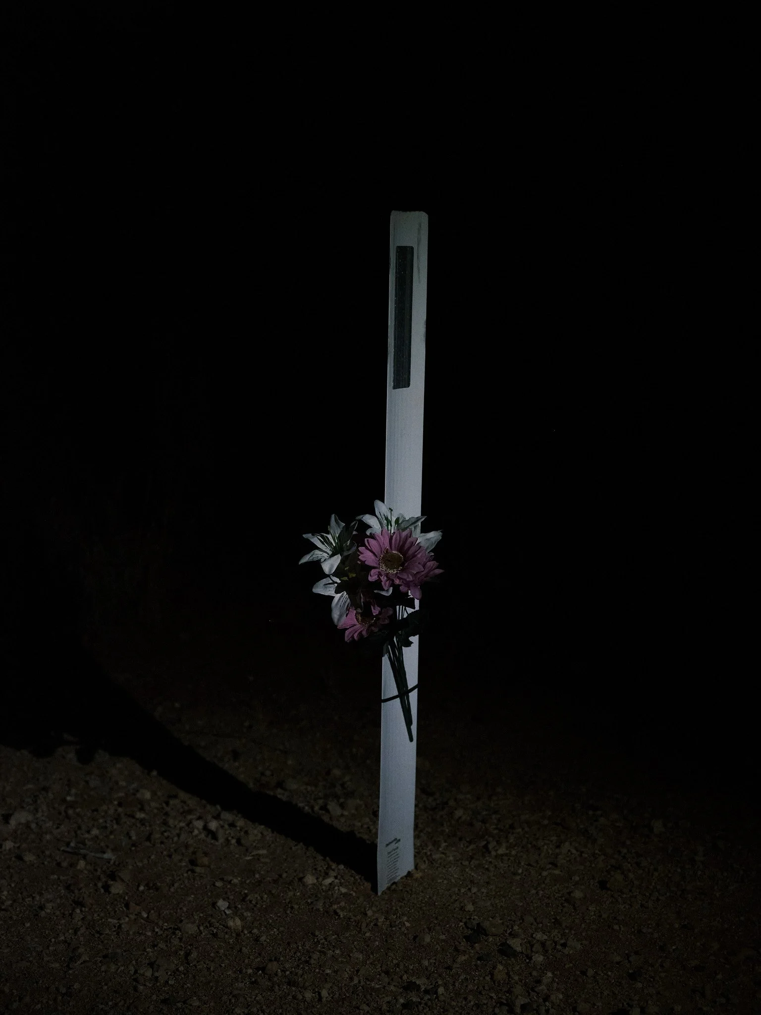 DSCF8690.JPG