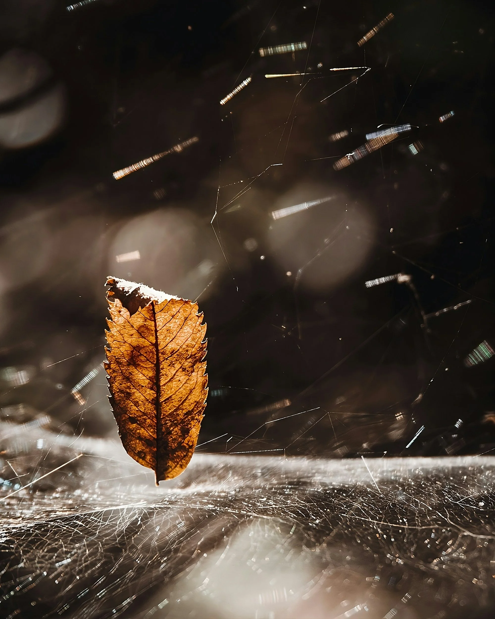 Haiku by Ram Krishna Singh