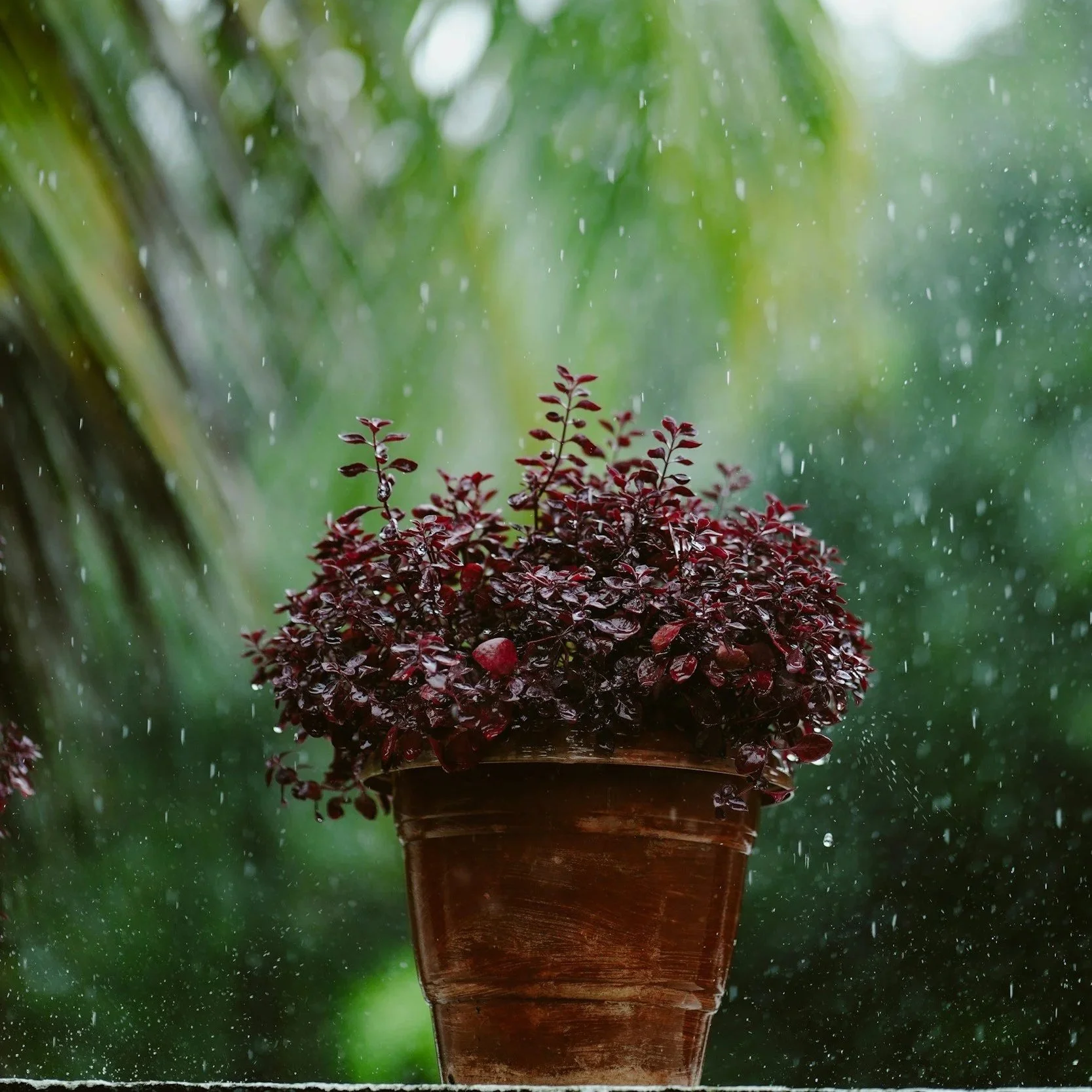 One Breath by Pulkita Annad