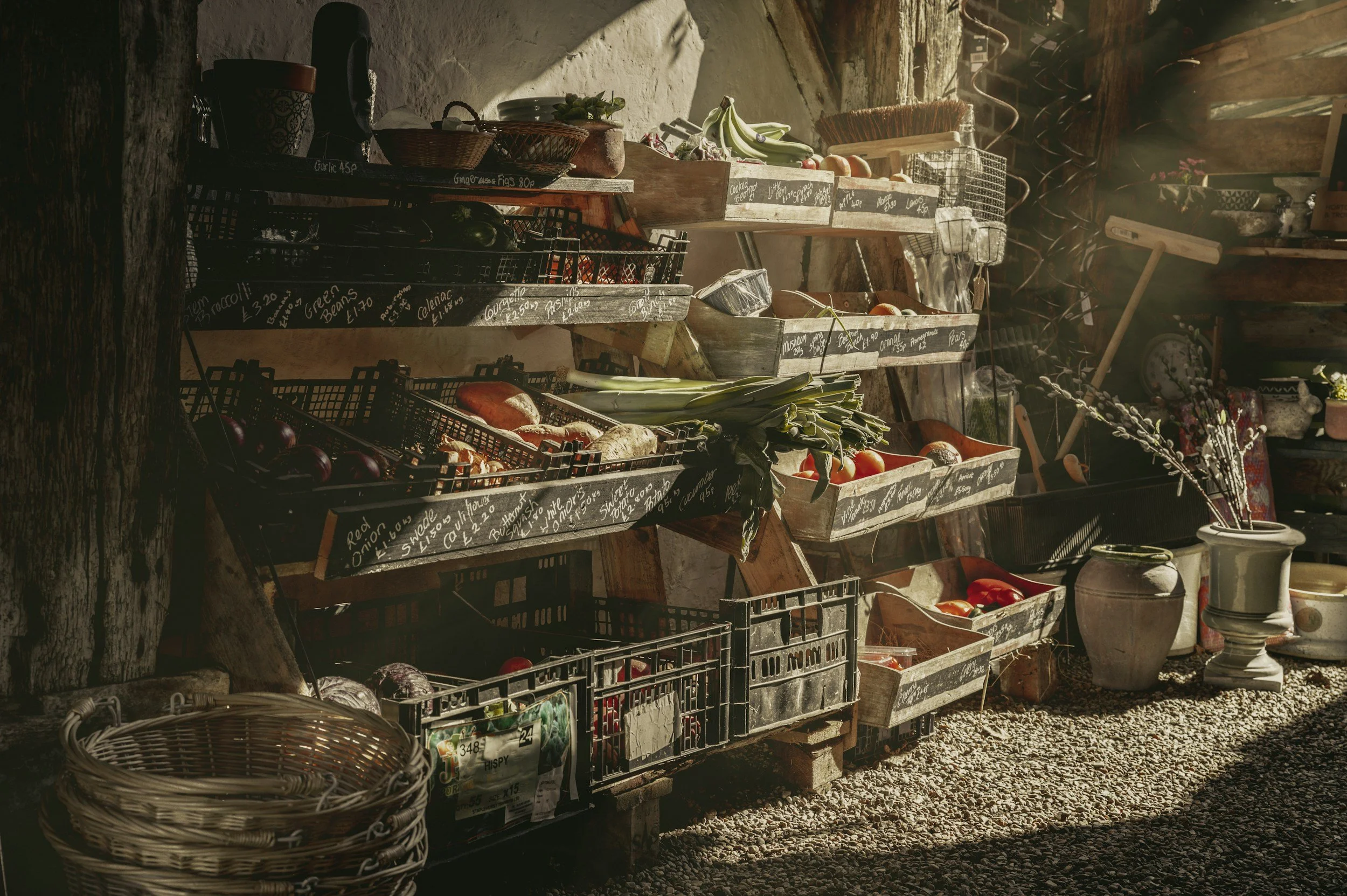 Haiku by Joan C. Fingon