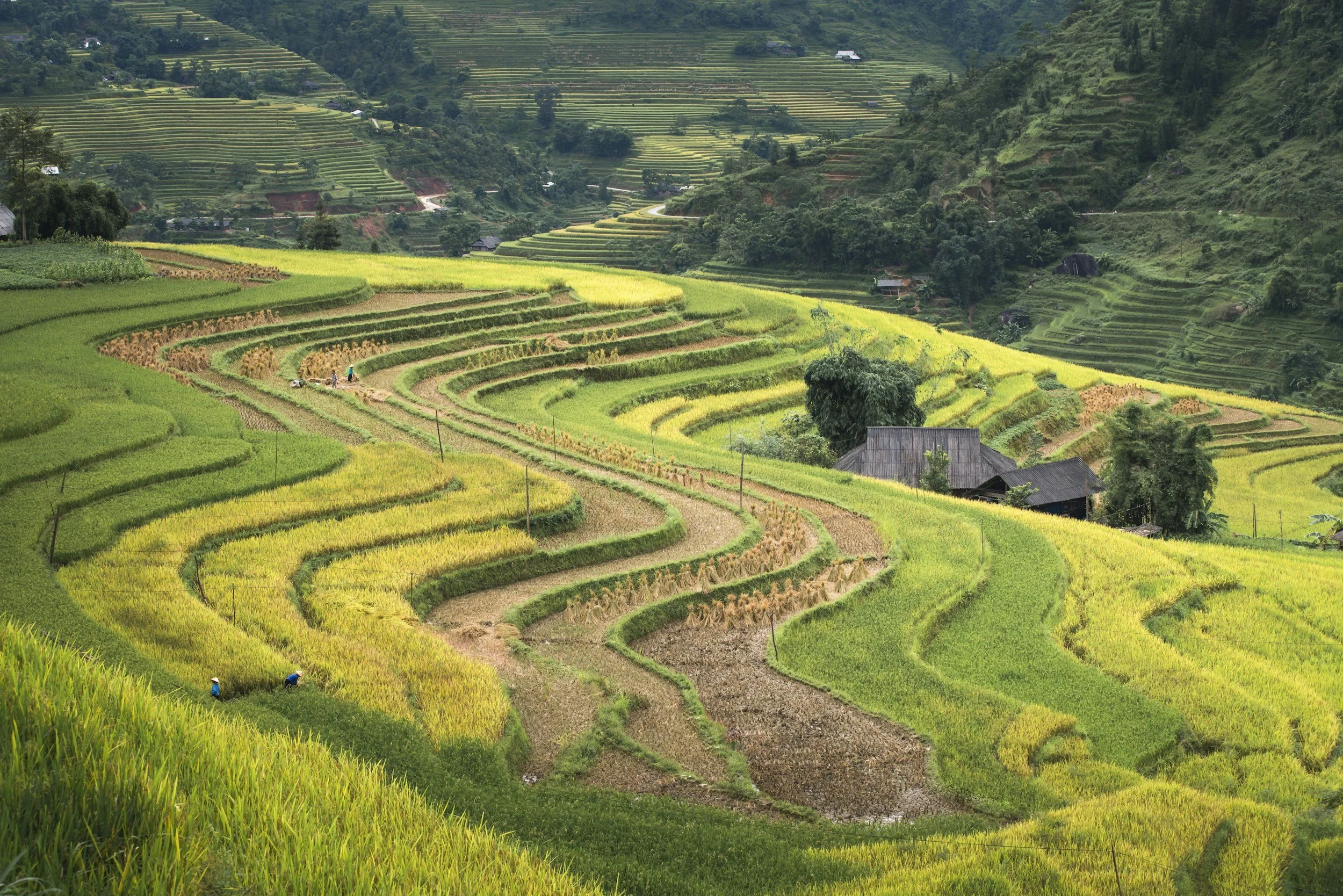 One Breath by Ri Dela Borj