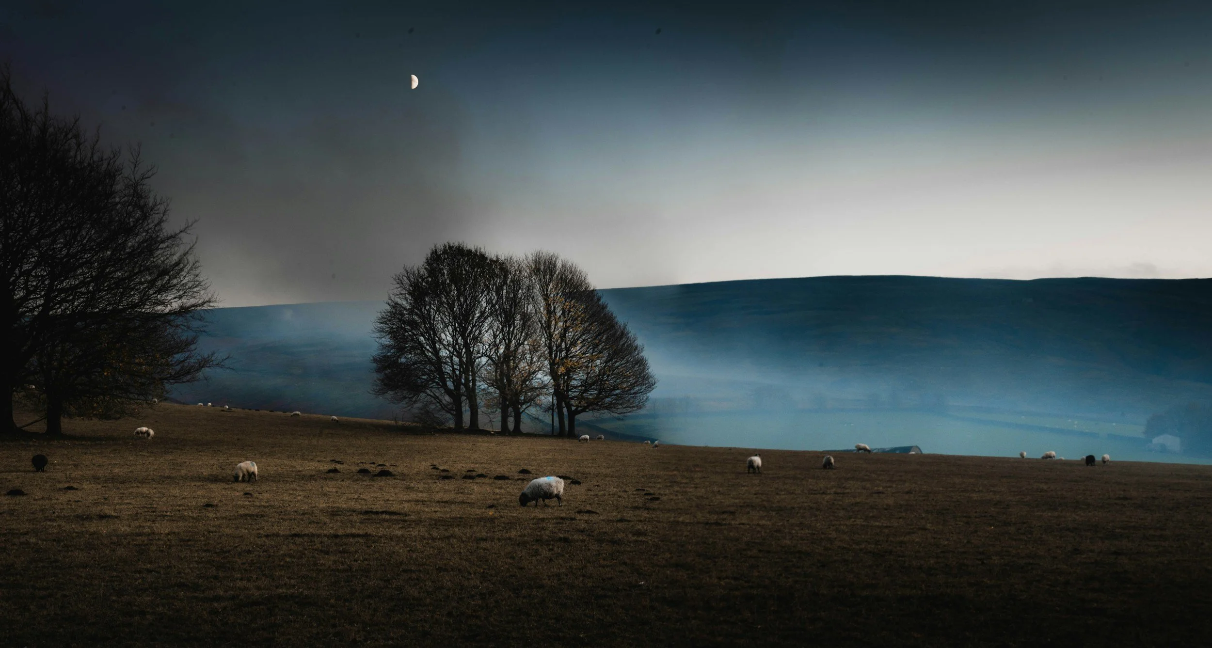 November Kigo Challenge 