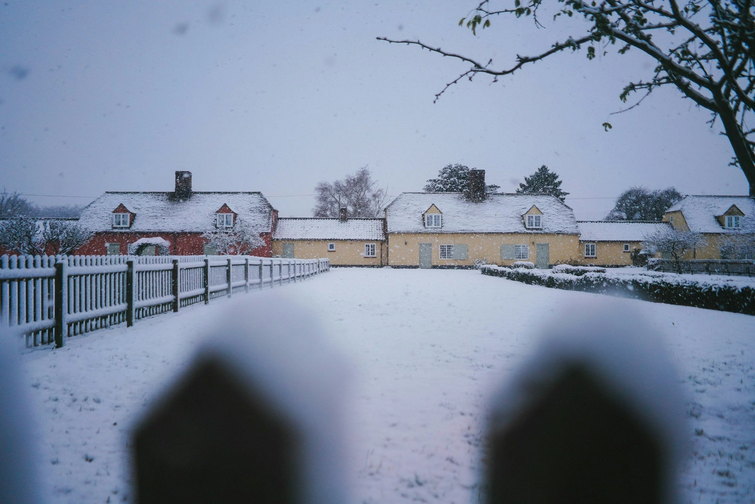 Haiku by Samo Kreutz