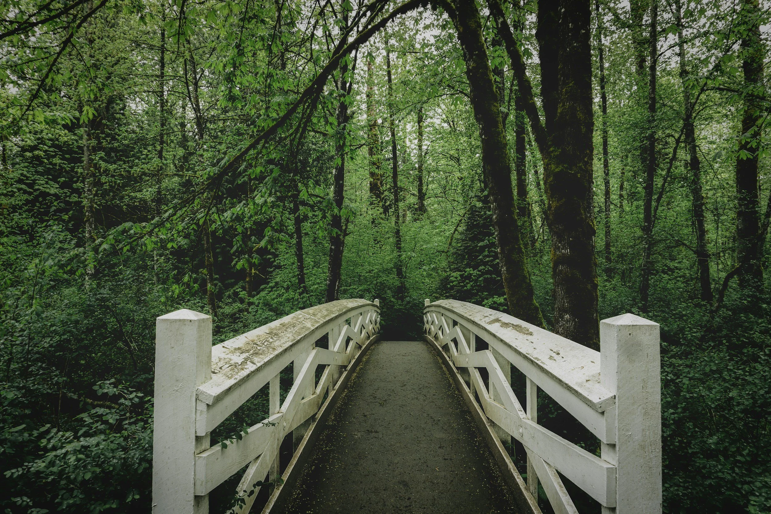 One Breath by Randy Brooks