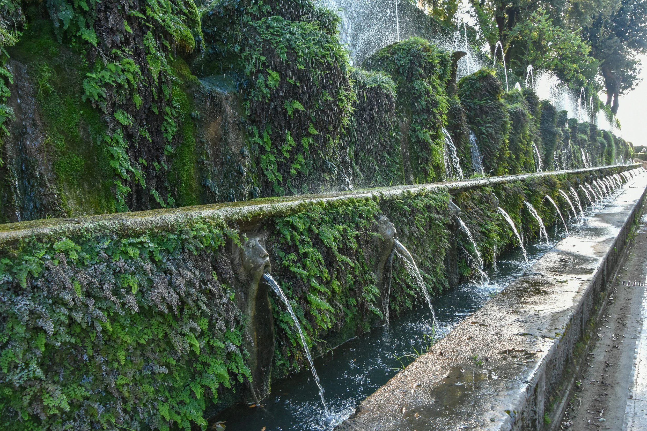 Haiku by Giuliana Ravaglia