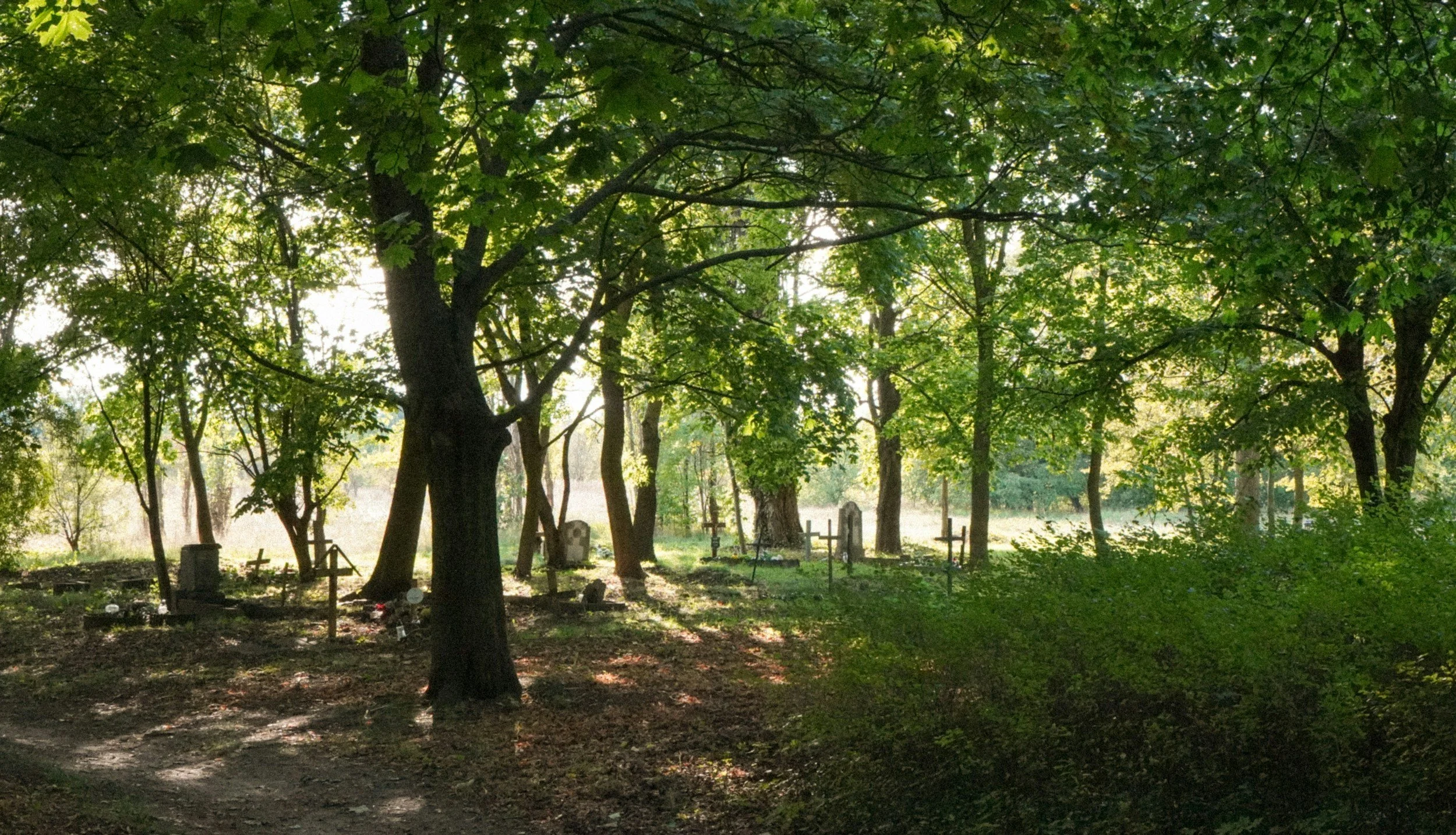 Haiku by Chen-ou Liu