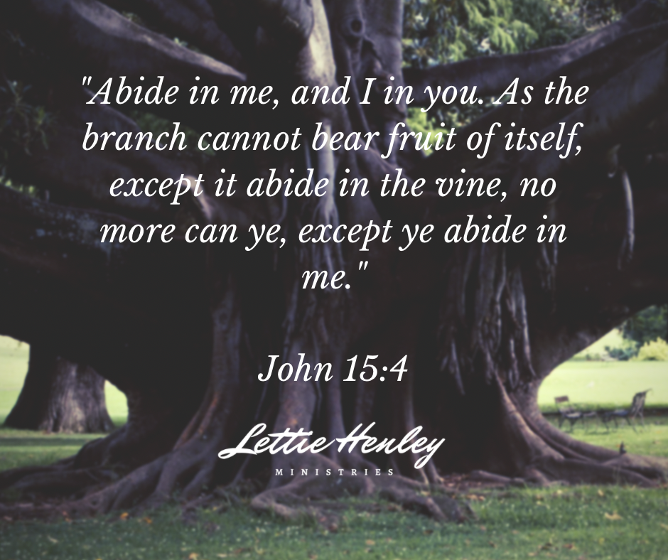 Abiding in Him to Bear Lasting Fruit