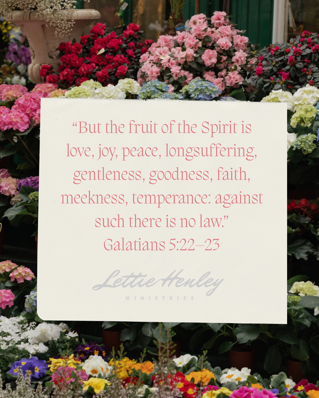 The Spirit Produces Fruit