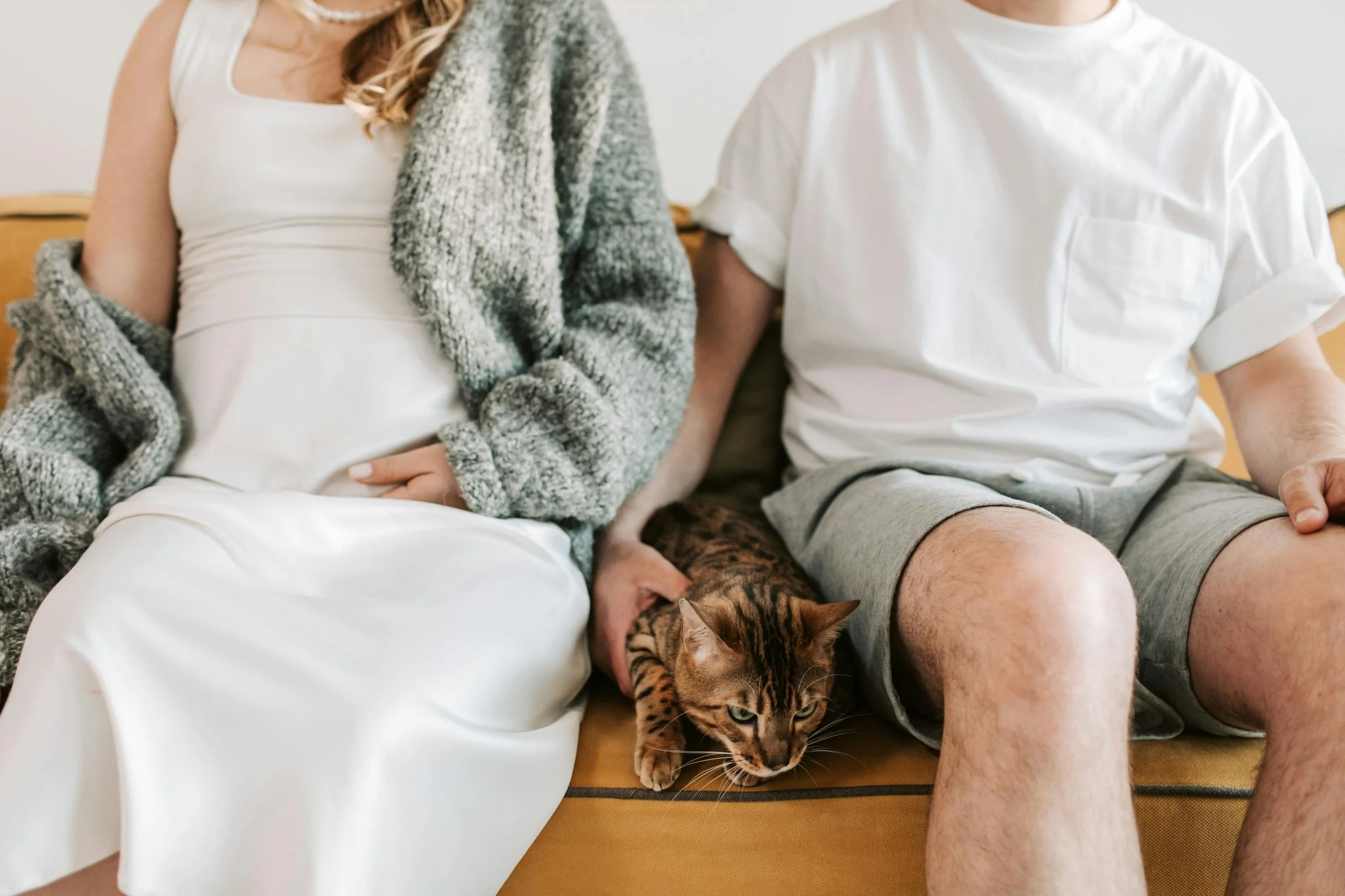 A cat resting between two people seated on a couch, representing the warmth and relational safety of IFS-informed couples therapy