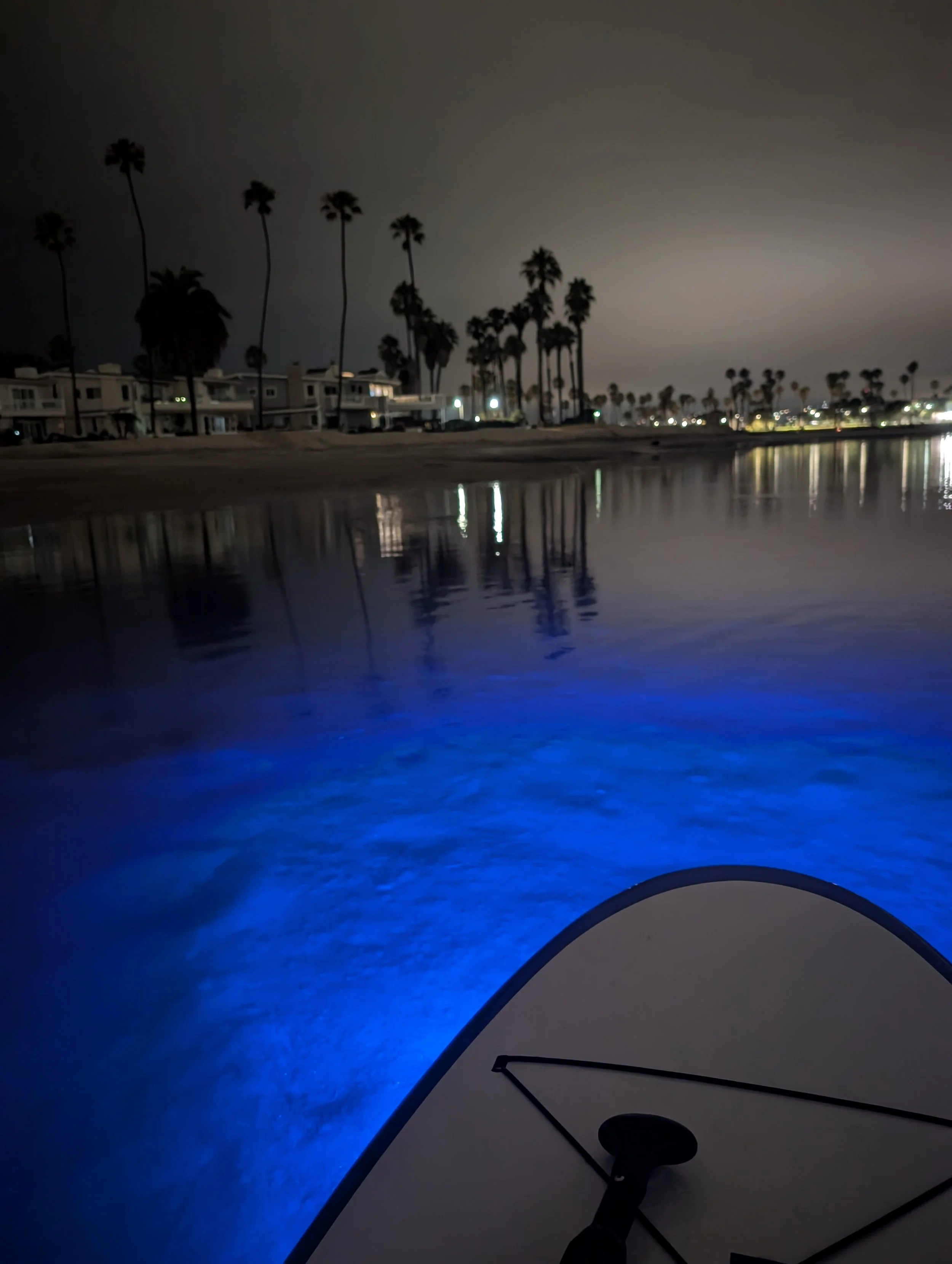 Nighttime view from a boat or watercraft showing blue underwater lights illuminating the water, with a shoreline lined with palm trees and houses reflected on the water surface, and a cloudy sky overhead. Mission Bay.