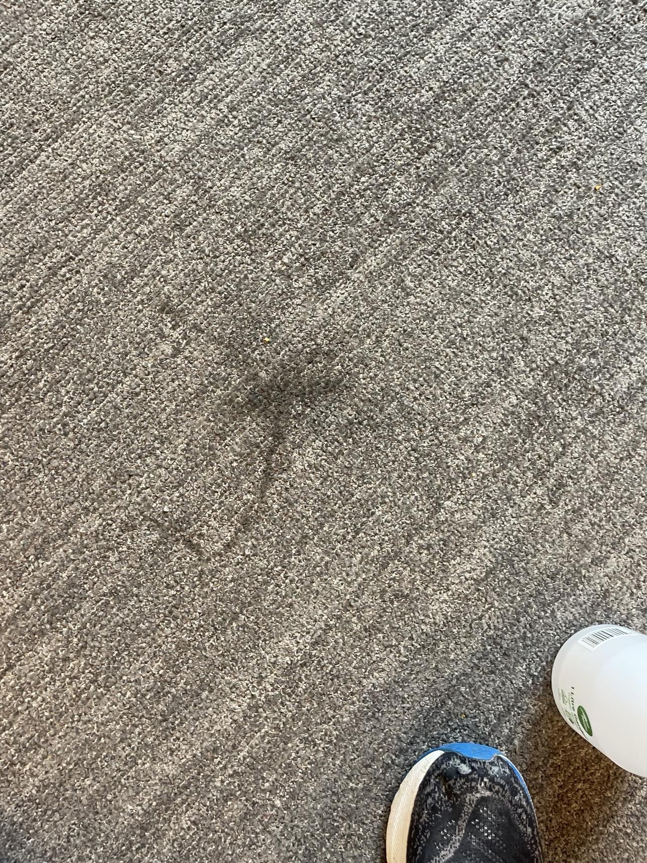 Carpet cleaning and stain removal Kerikeri
•	"Carpet cleaning Waipapa
•	"Carpet cleaning near Kerikeri
•	"Carpet cleaners in Northland
