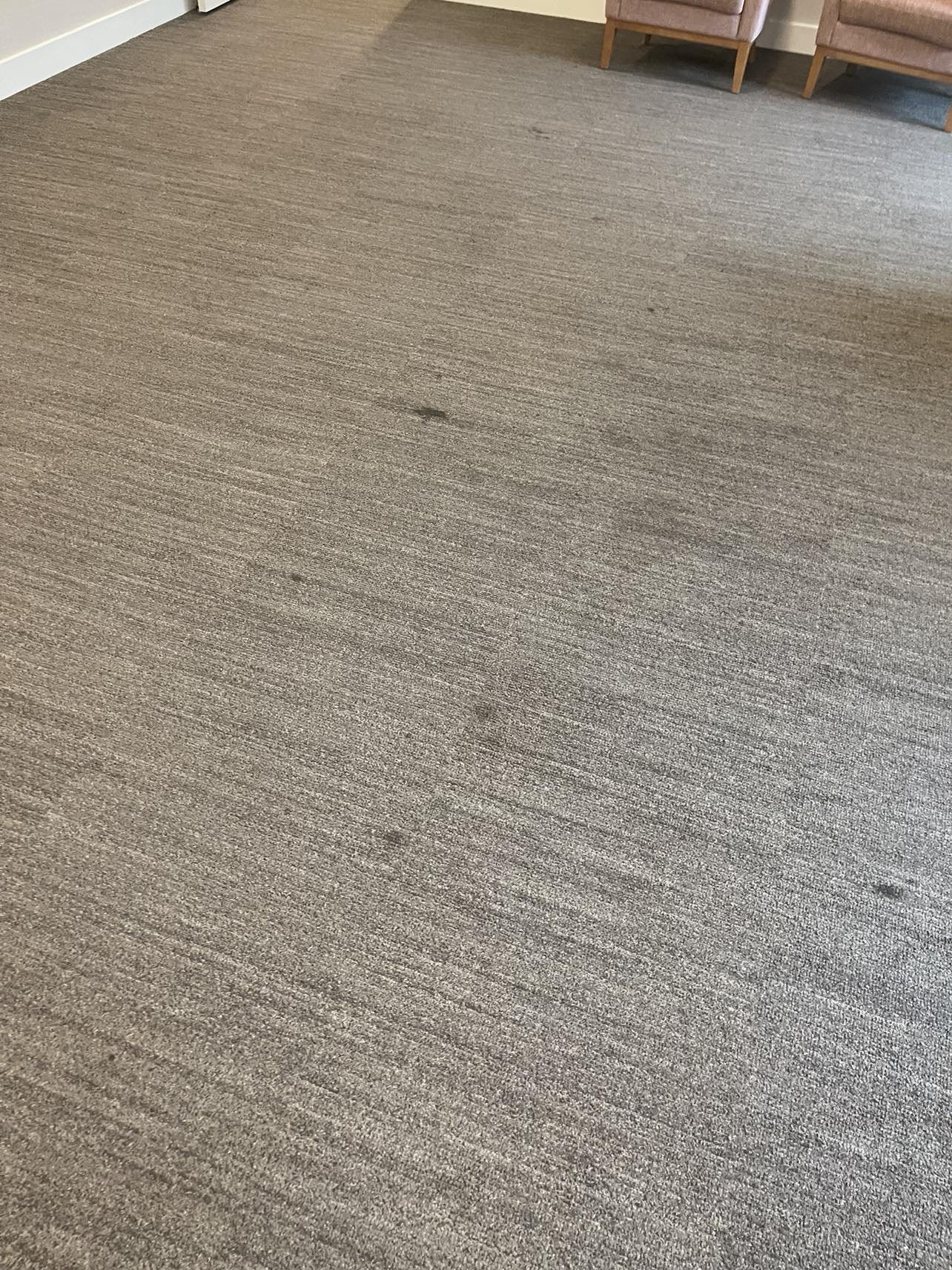 Steam carpet cleaning"
•	"Deep carpet cleaning"
•	"Pet stain removal"
•	"Eco-friendly carpet cleaning"
•	"Commercial carpet cleaning"
•	"Residential carpet cleaning"
•	"Odor removal carpet cleaning"
