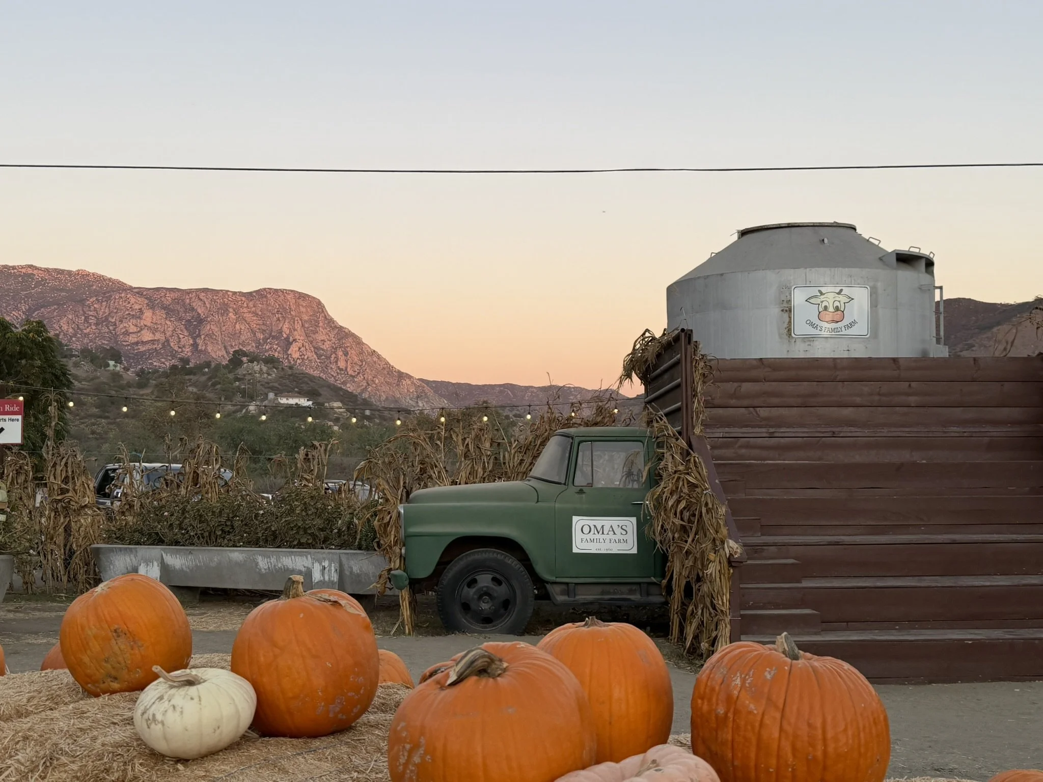 Moving Intentionally into Fall