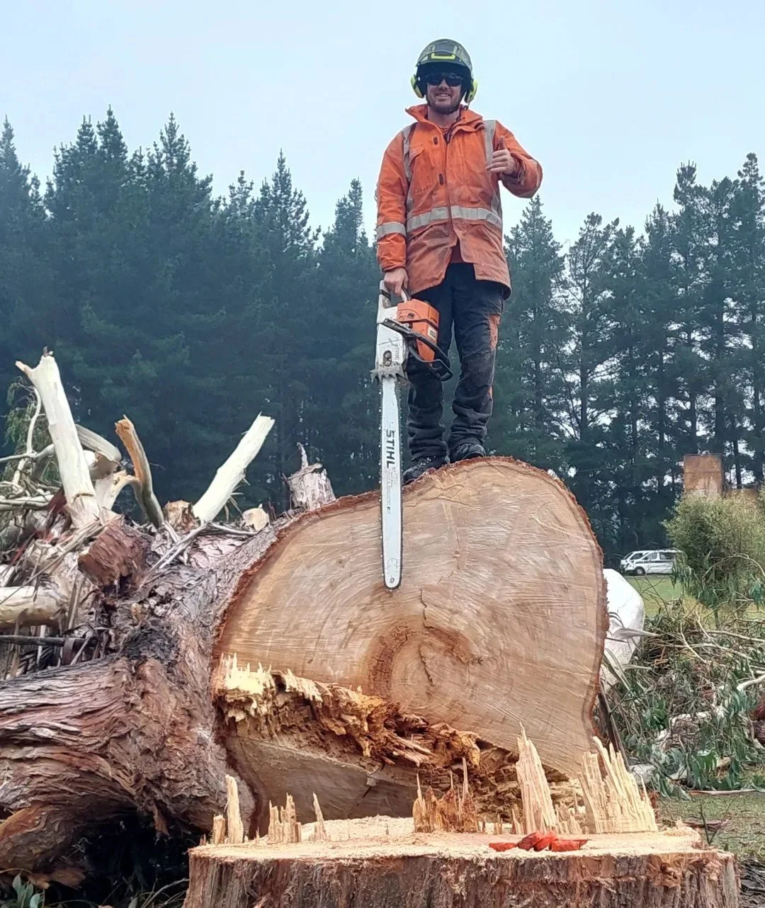 Sam in safety gear standing on a large fallen tree trunk, holding a chainsaw, with a background of trees and a partly cloudy sky.