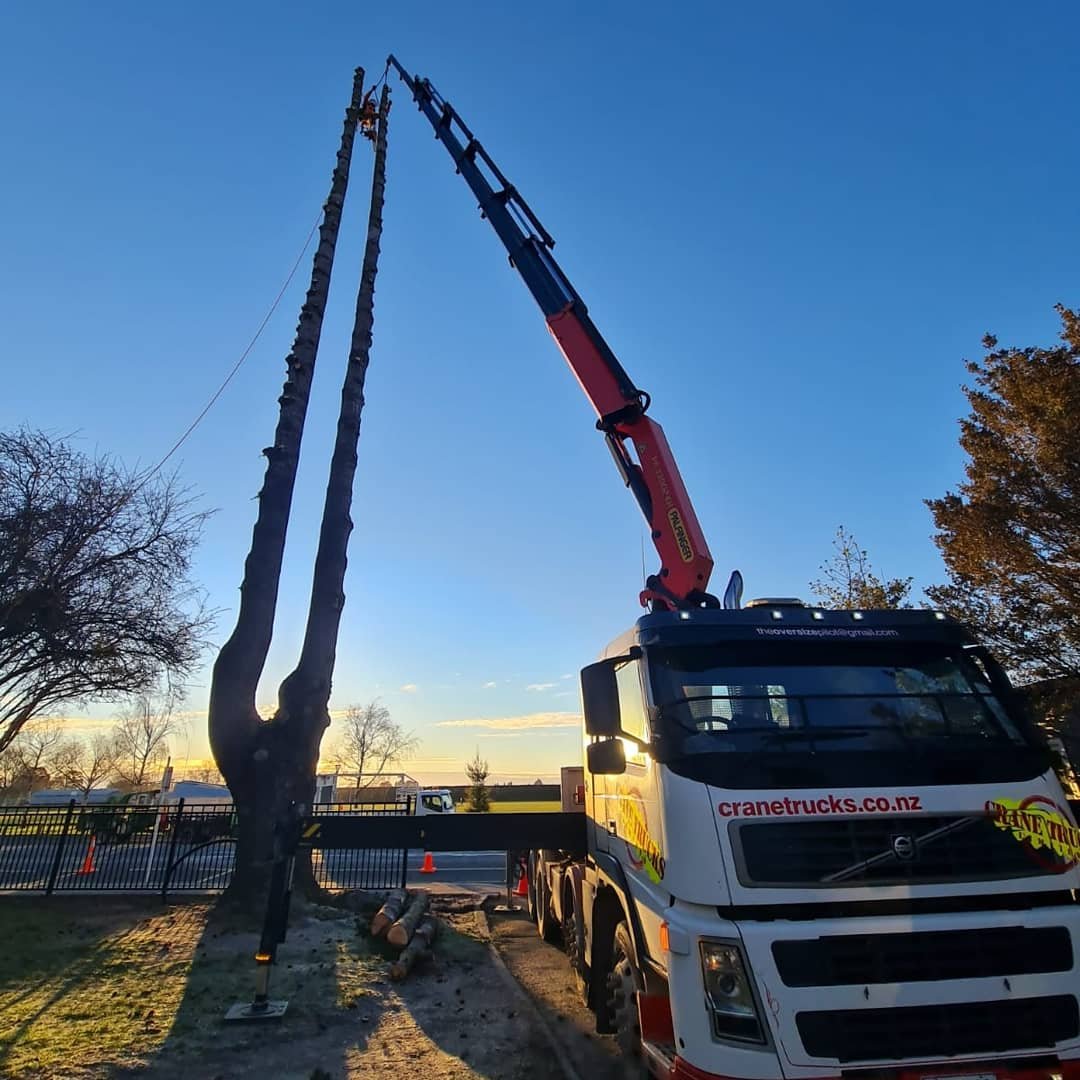 A crane truck with an extended arm trimming or removing a tall tree.