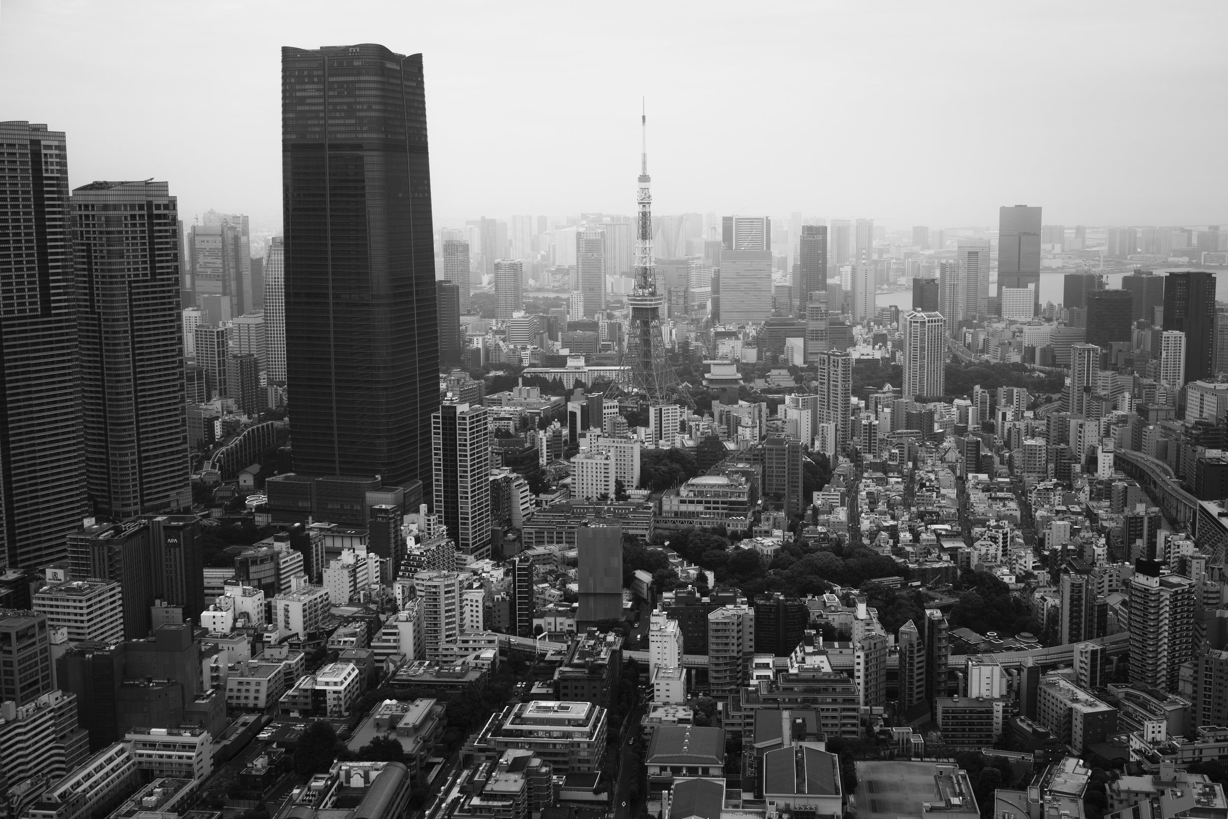 Tokyo cityscape view mori tower
