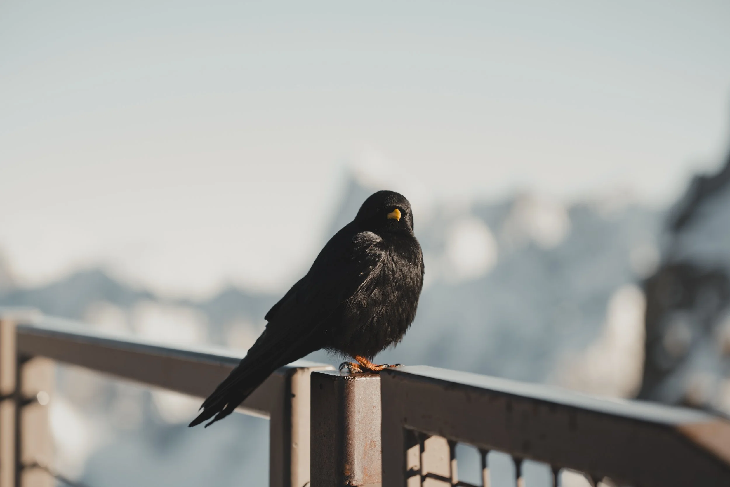 Aiguille du Midi Mont Blanc Mountain