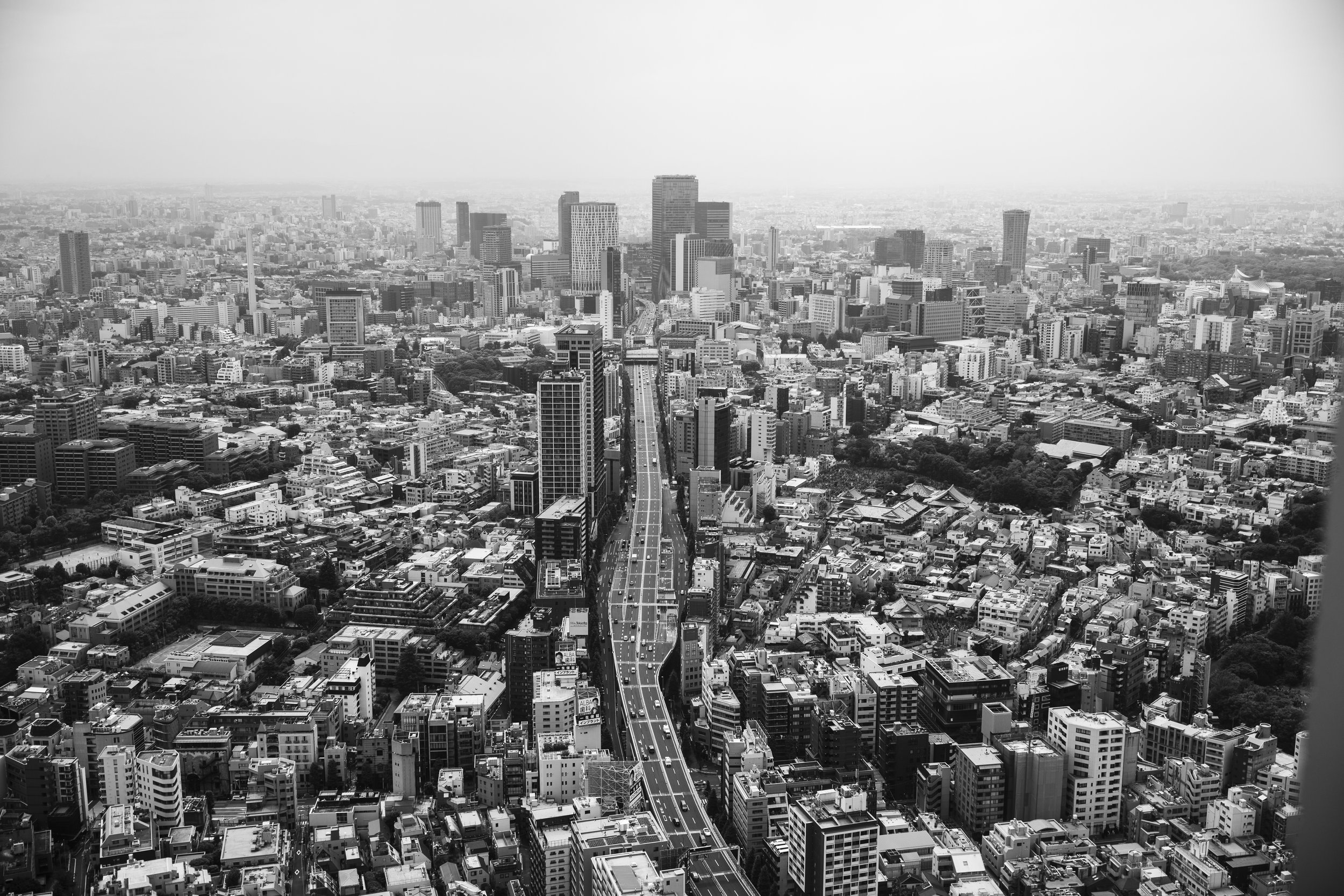Tokyo cityscape view mori tower