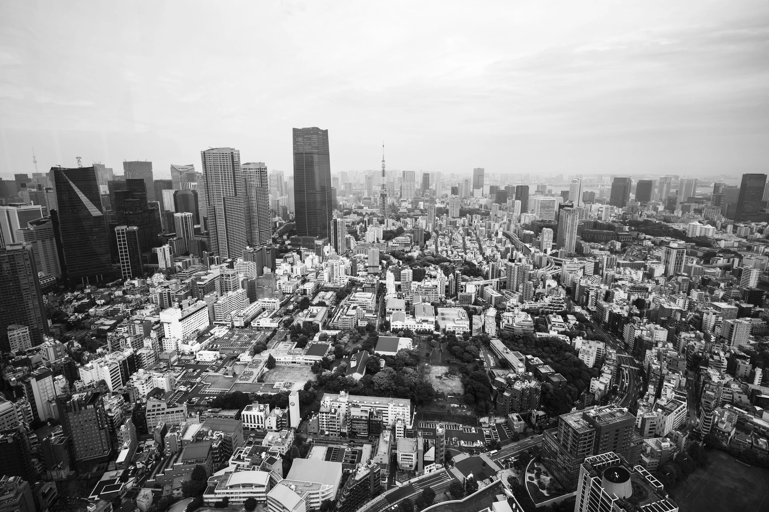 Tokyo cityscape view mori tower