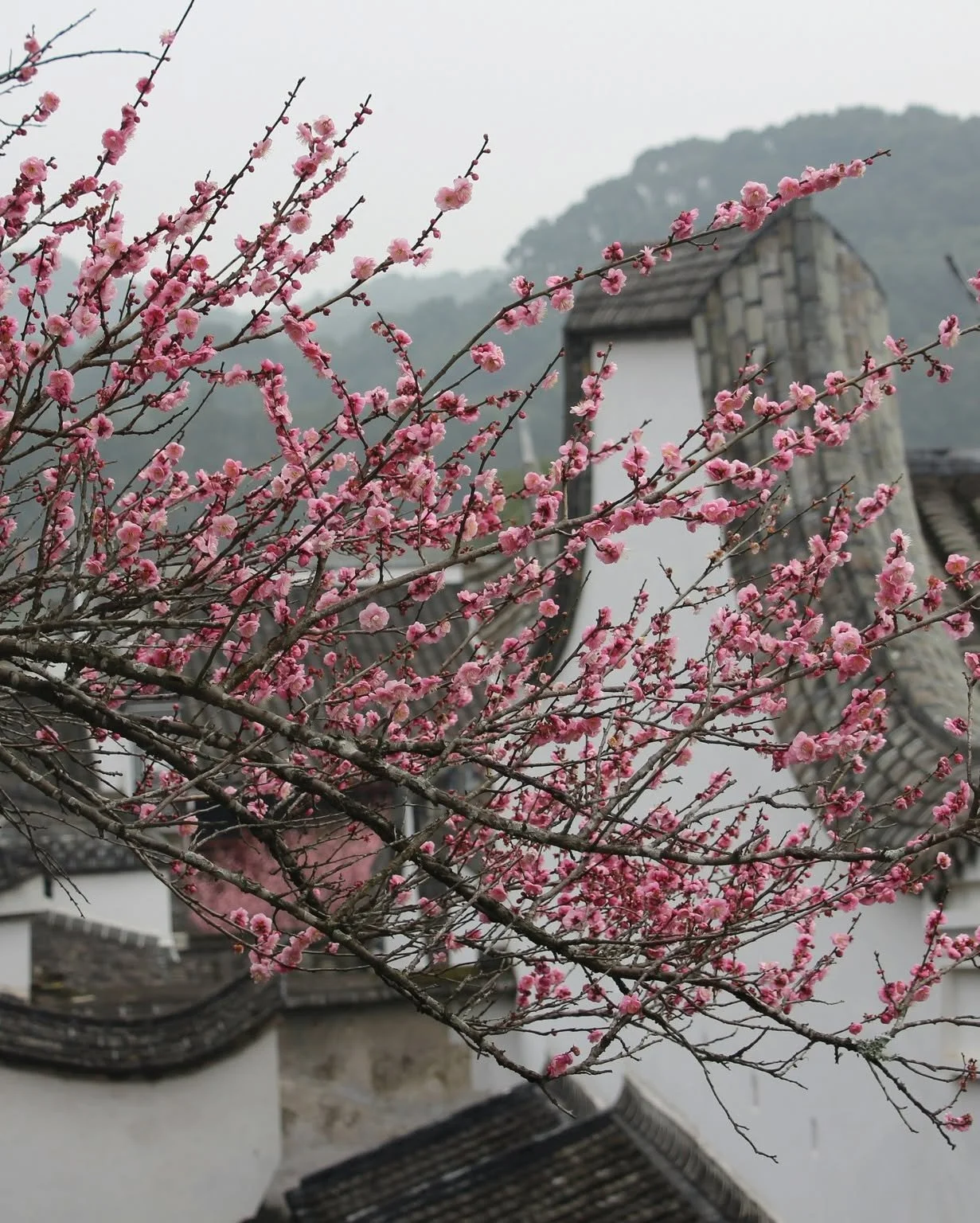 Spring is officially on the table 🌷

Our new seasonal menu is all about fresh flavors, soft colors, and dishes that feel like sunshine after rain. Think bright produce, delicate textures, and courses designed to be savored slowly with your favorite 