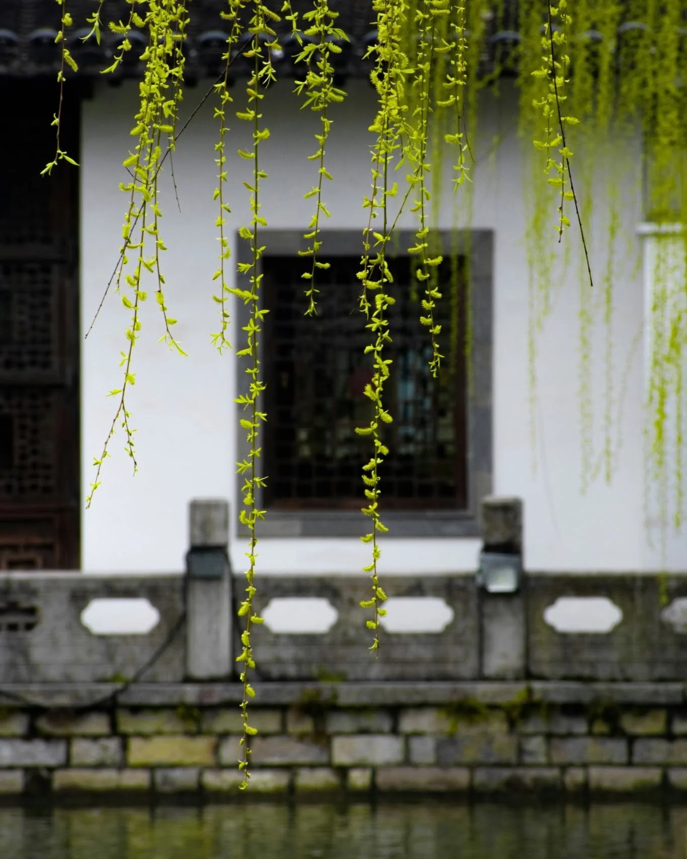 The table is blooming 🌸

New spring menu, new seasonal flavors, and the same intimate private dining experience you love.

Bring your friends, bring your appetite, and let&rsquo;s celebrate the season 🌷