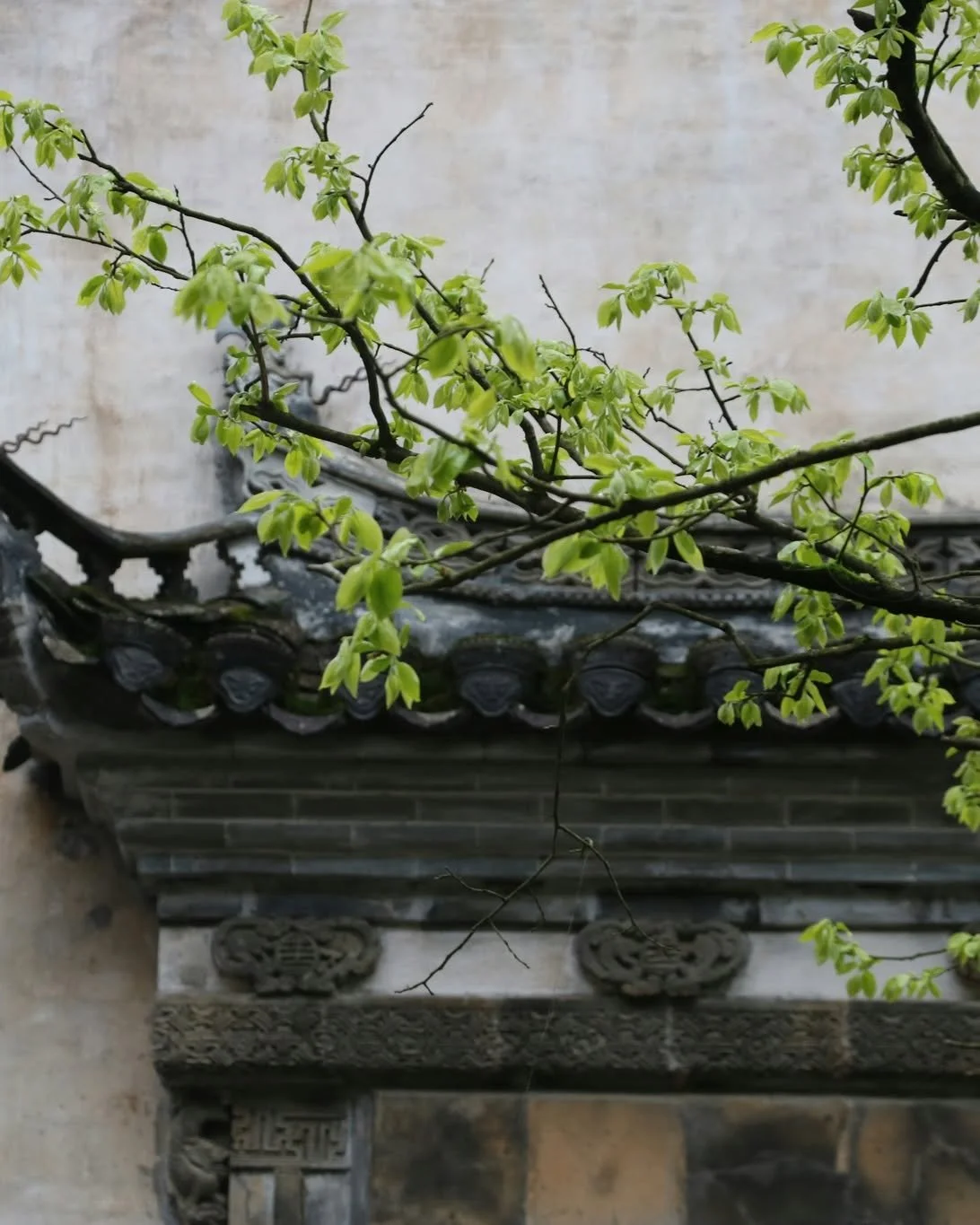 Spring dinners just hit different 🌼

Our newest seasonal menu is filled with bright flavors, fresh ingredients, and dishes designed to turn a dinner into a full evening of stories, laughter, and great company.

Spring private dining bookings are now