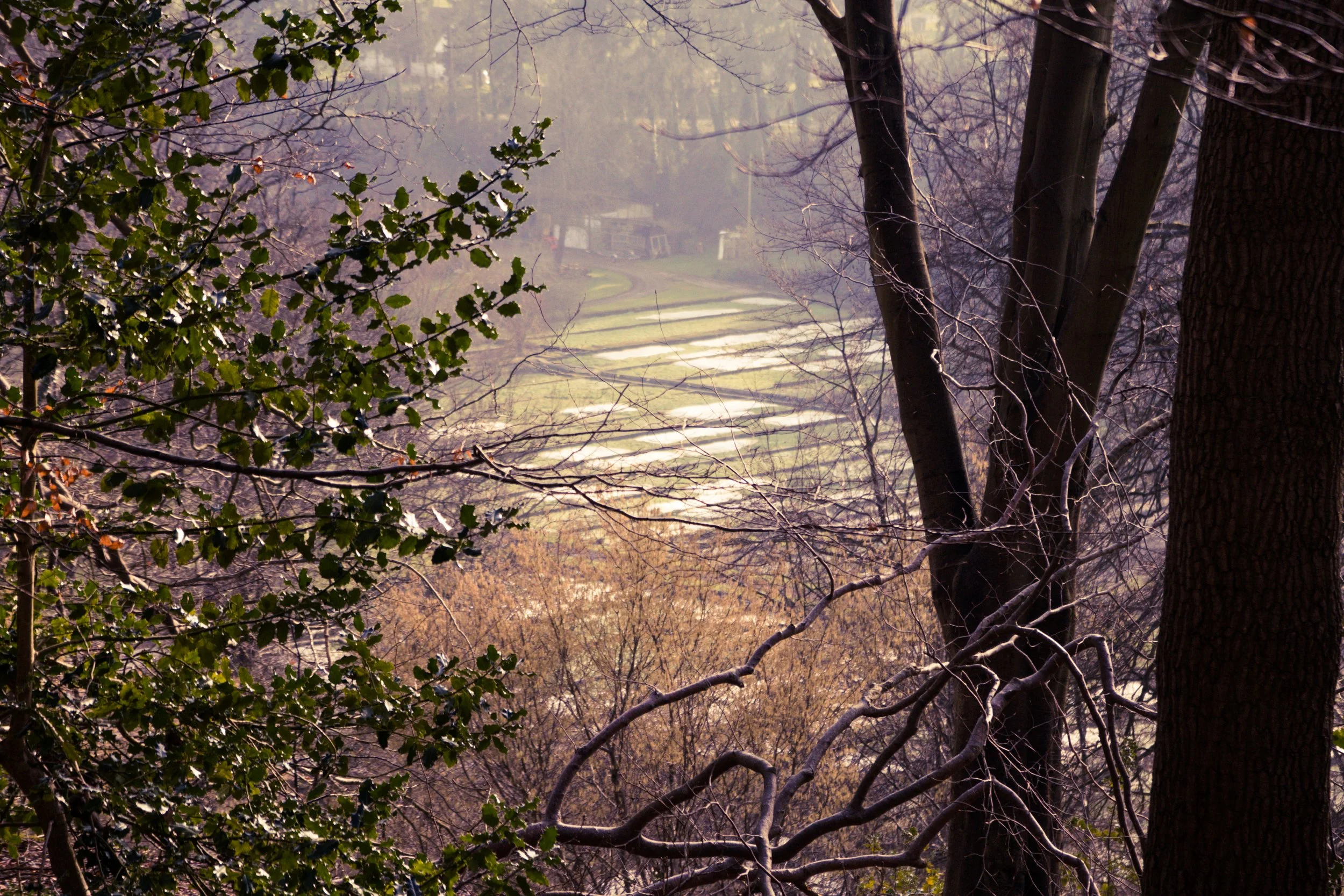 Vue sur un paysage de campagne avec des arbres sans feuilles, une rivière ou un chemin, et des champs au loin, sous une lumière douce