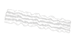 Bacon icon background image