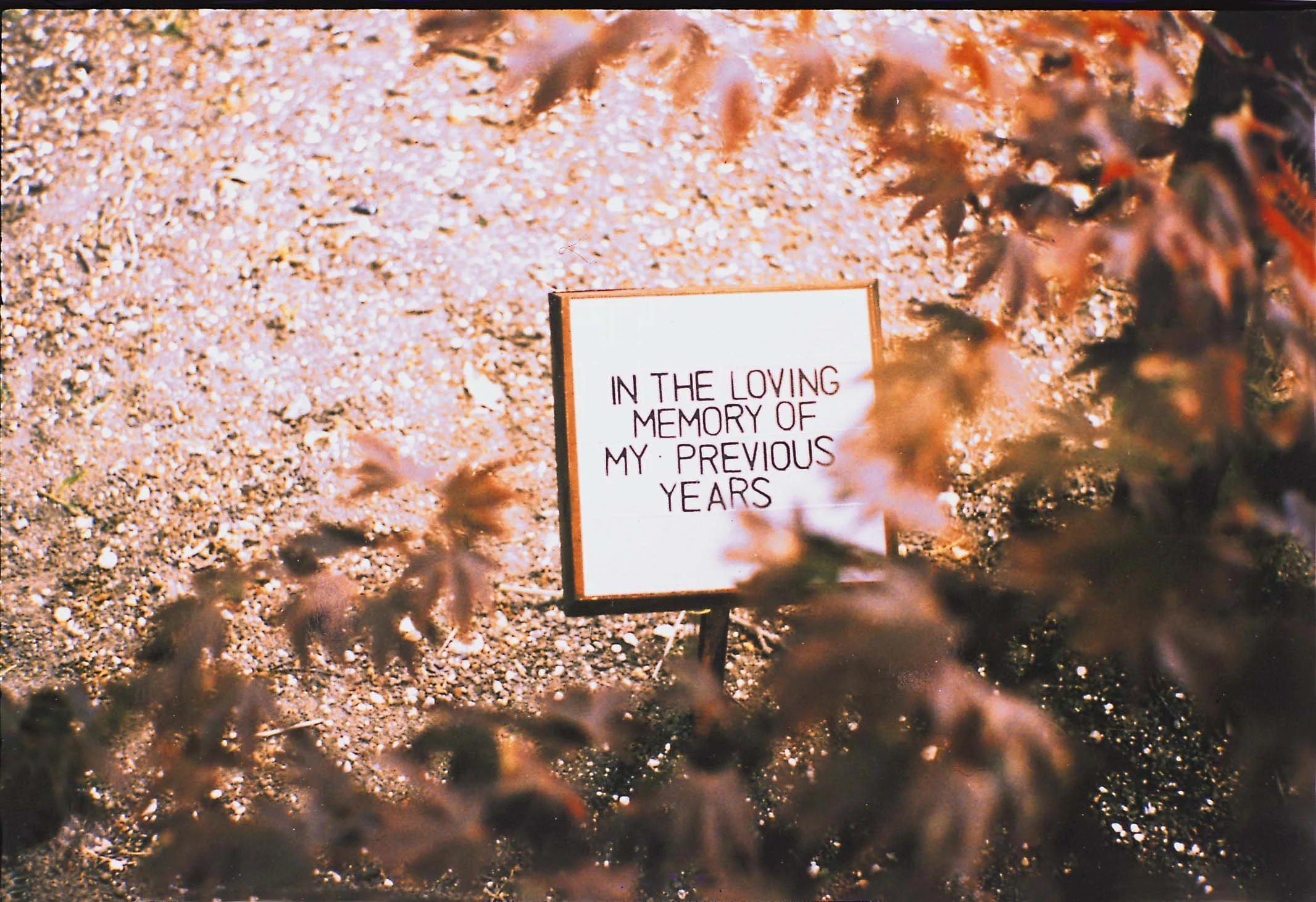 2 'Mapping the Terrain' 1996.jpg