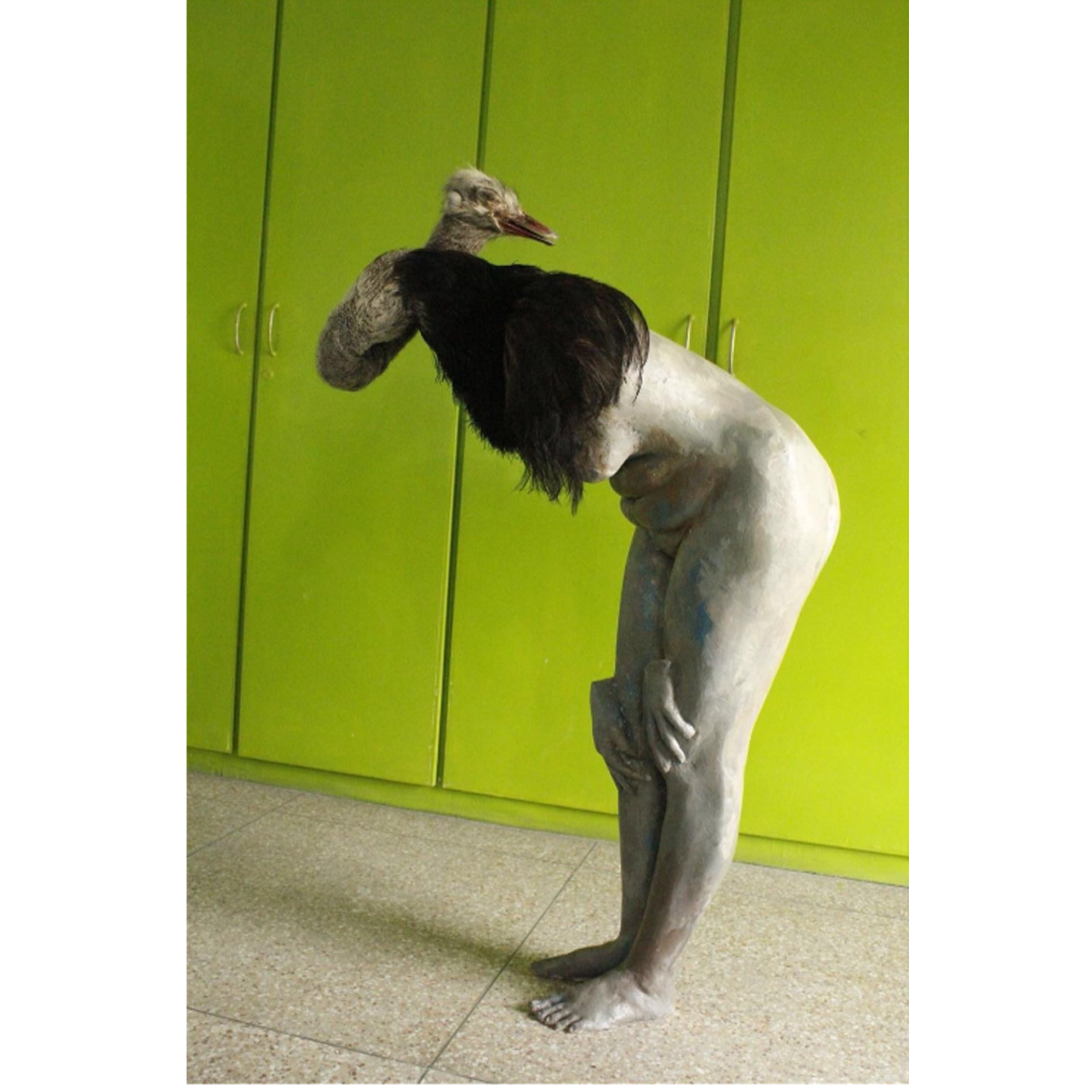 Between Heaven and Sky