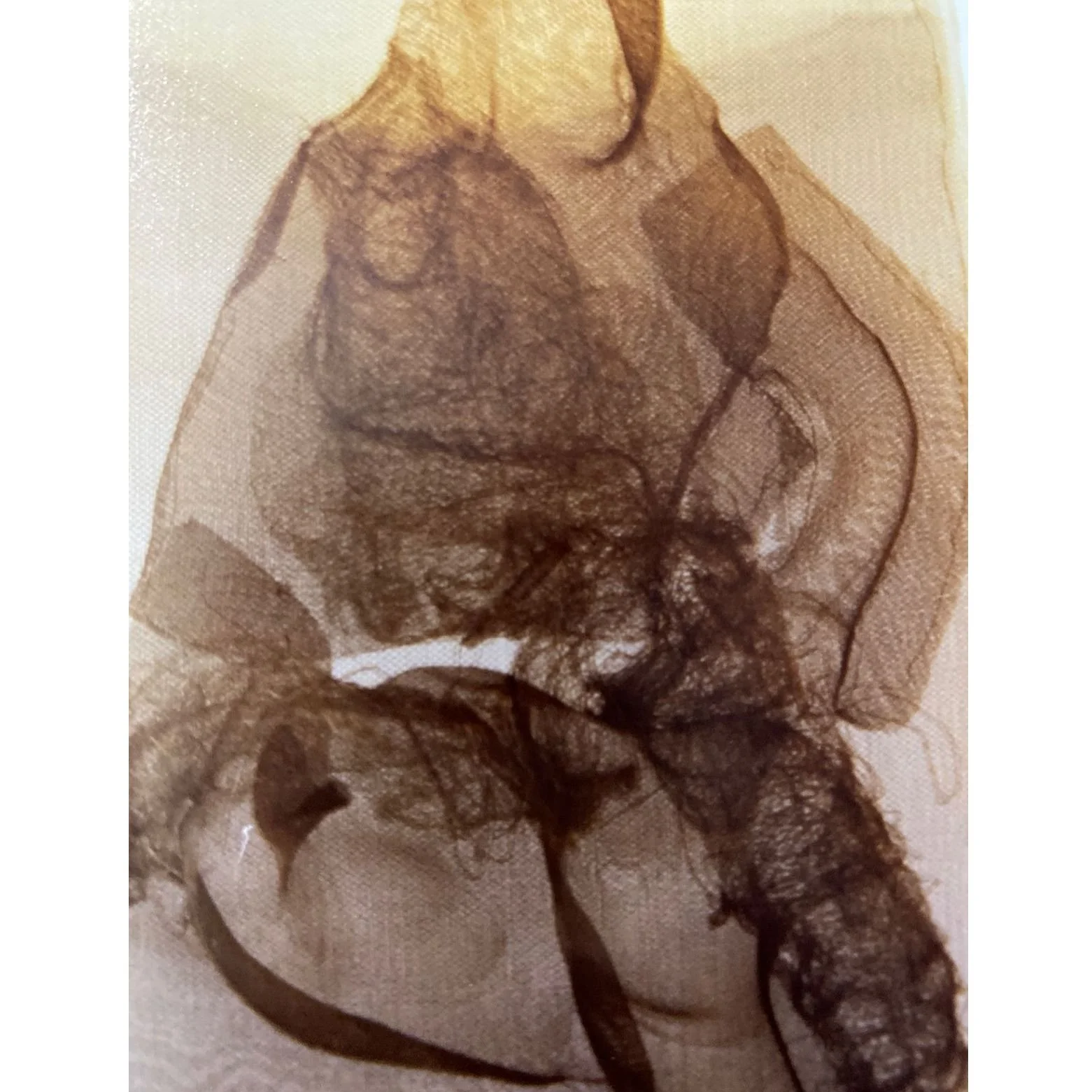 Of Love and Disappearance I